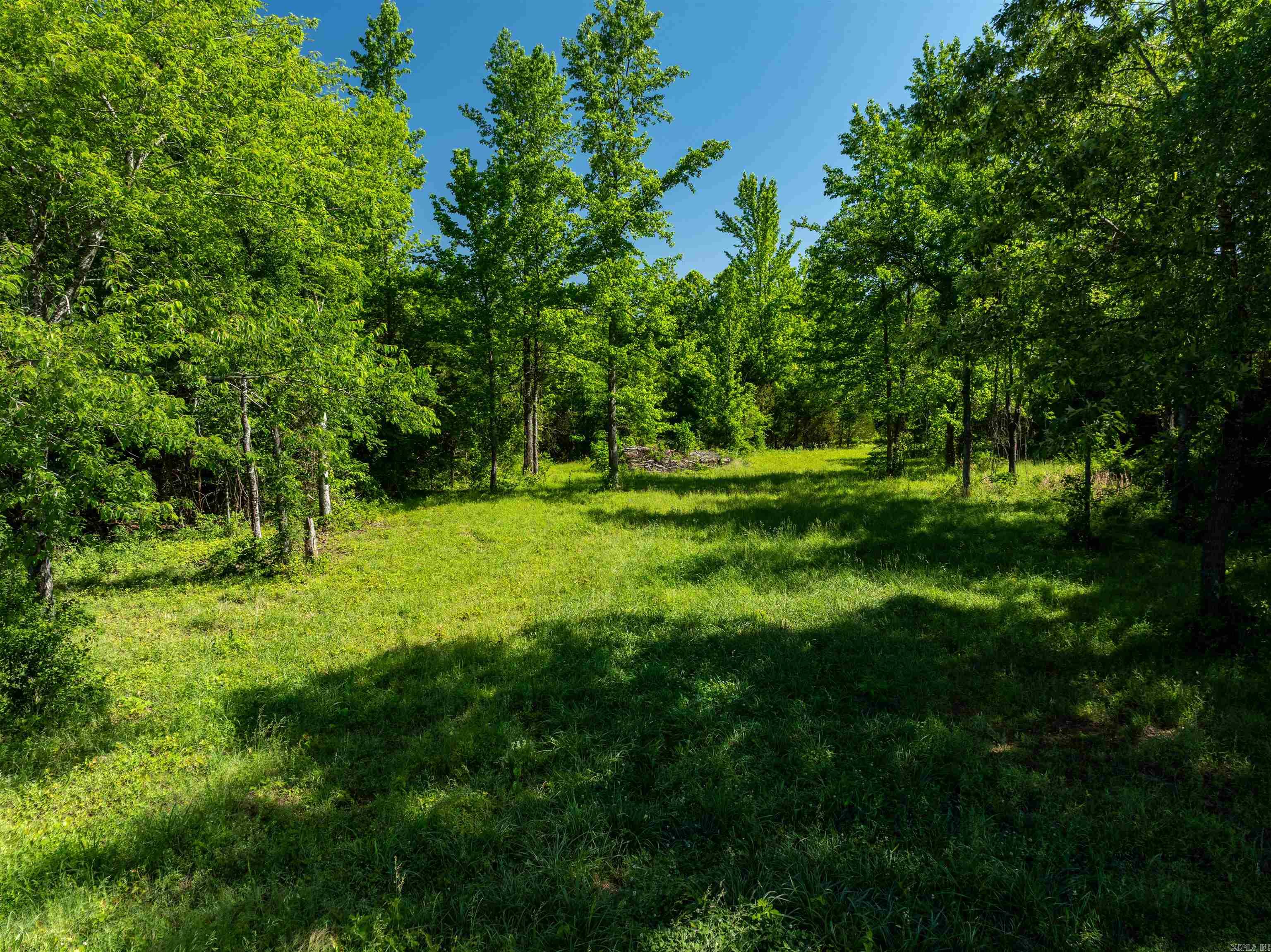 494  Scoggins  Bradford, AR