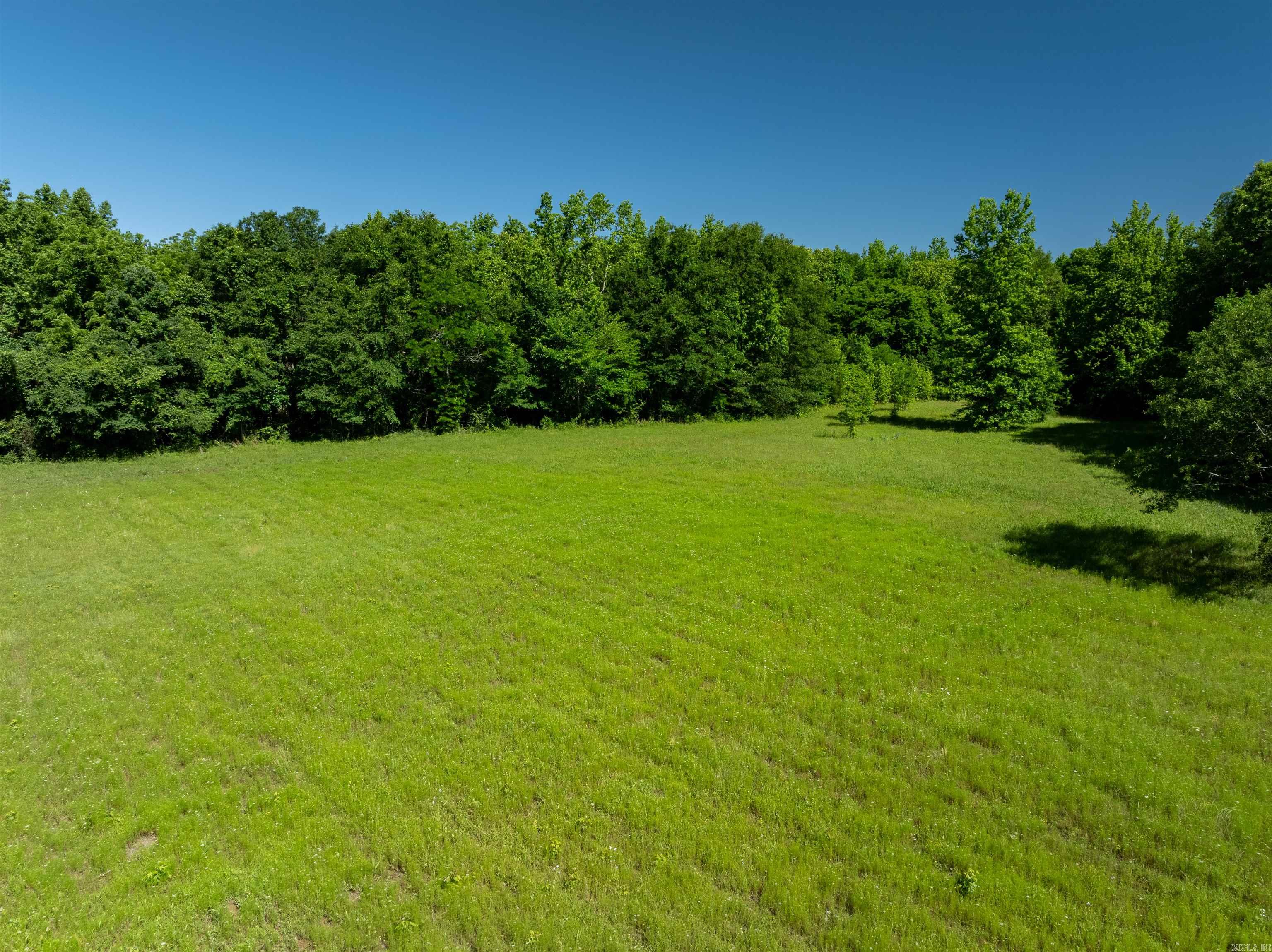 494  Scoggins  Bradford, AR