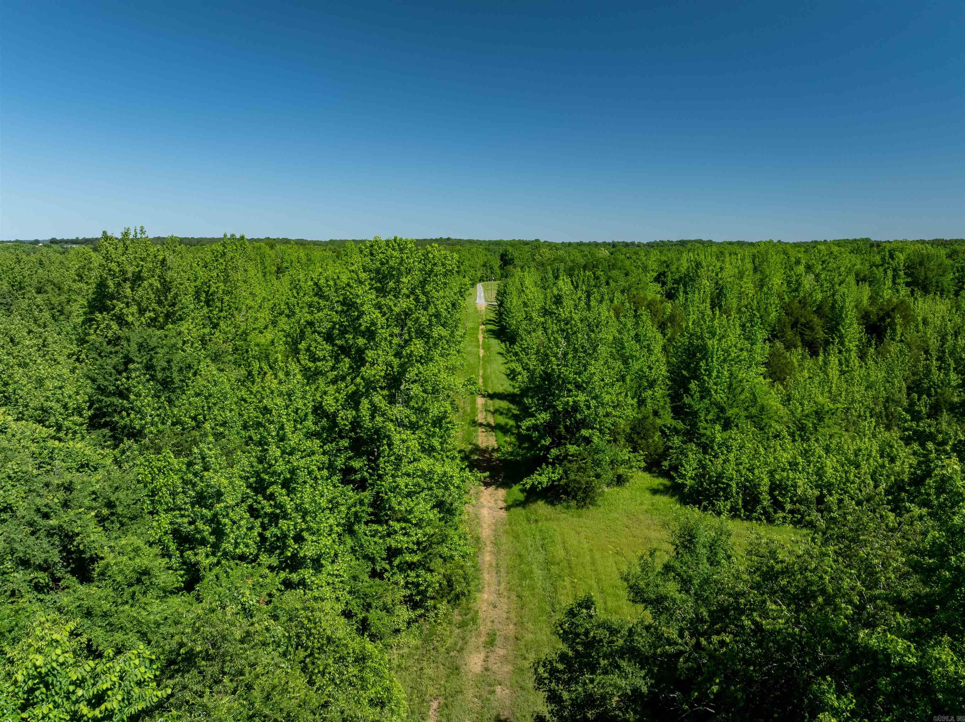 494  Scoggins  Bradford, AR
