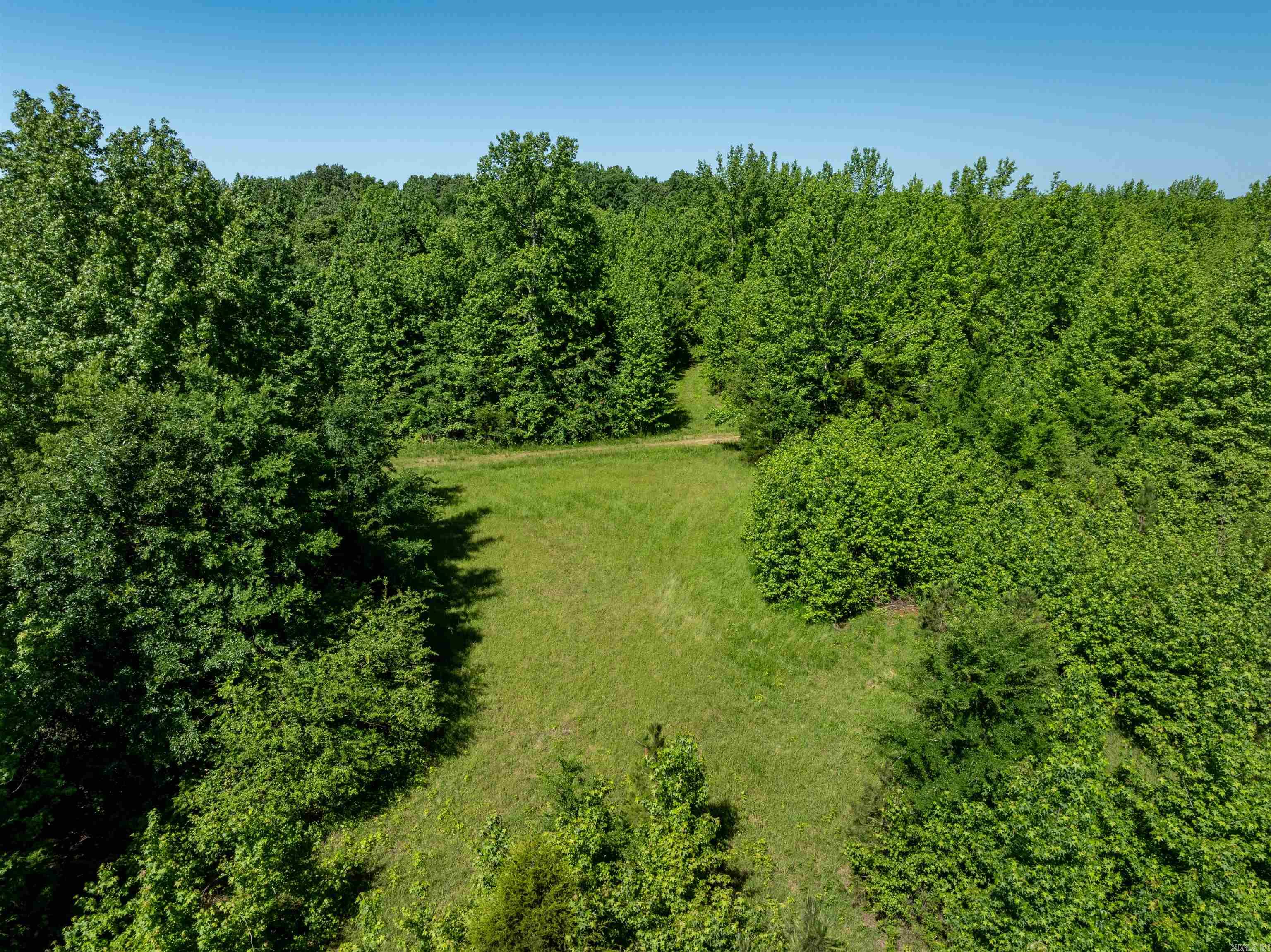 494  Scoggins  Bradford, AR