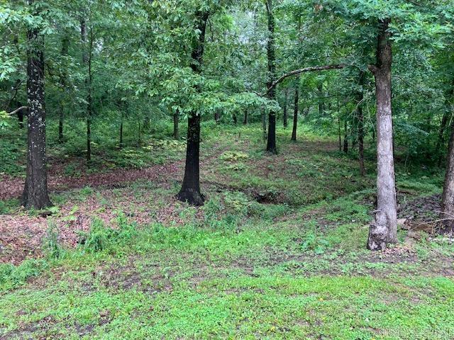 3244  Pyburn Ext  Pocahontas, AR