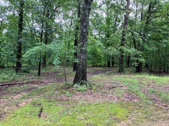 3244  Pyburn Ext  Pocahontas, AR