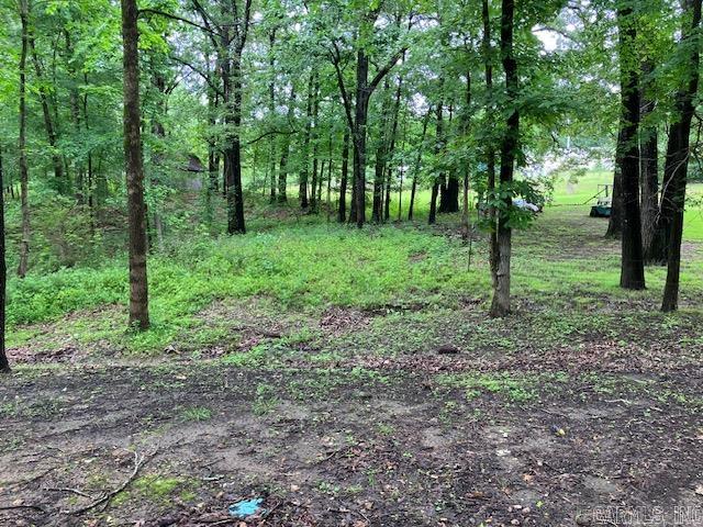 3244  Pyburn Ext  Pocahontas, AR