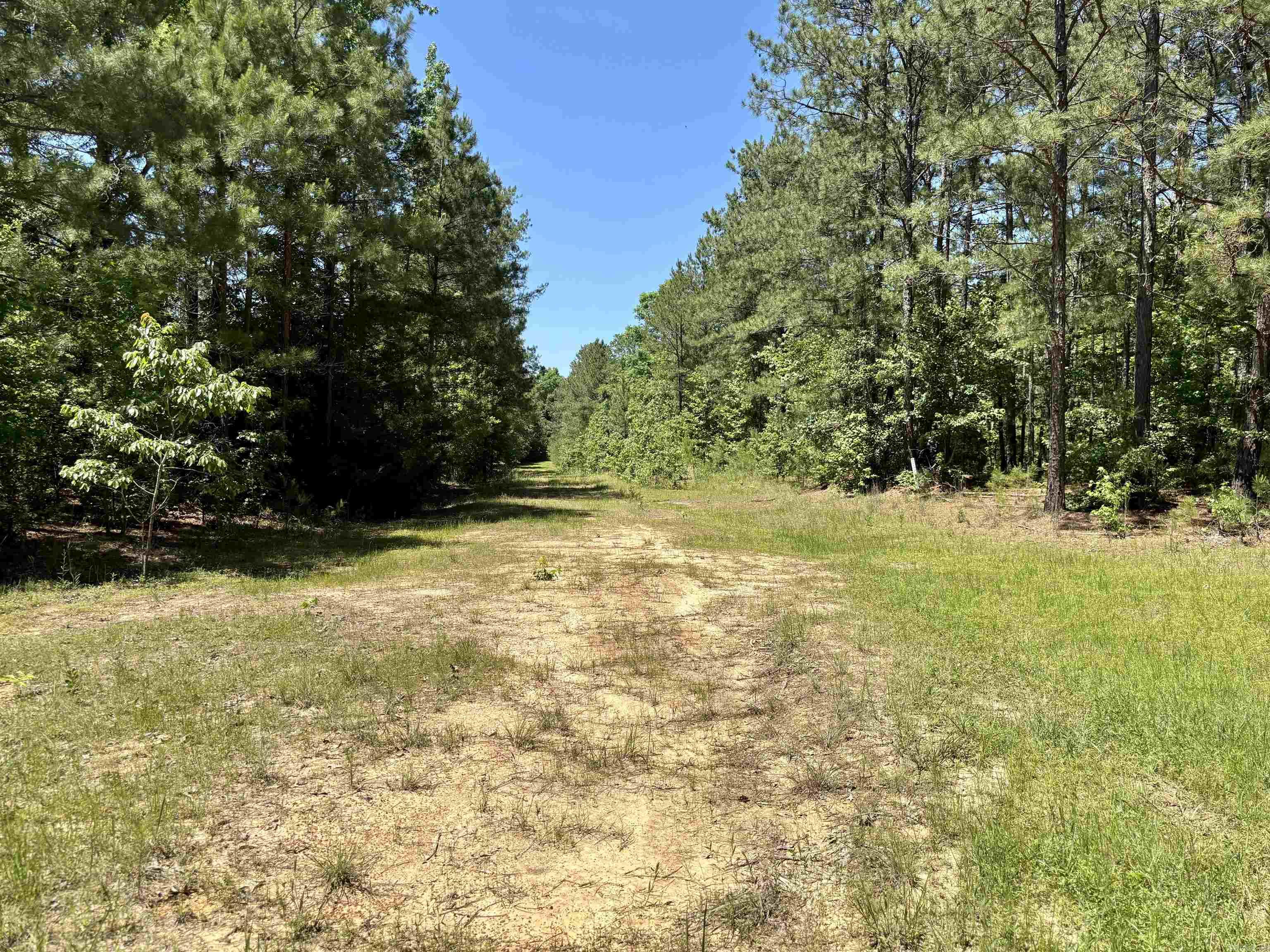 177  TIMBERLANE  Dierks, AR