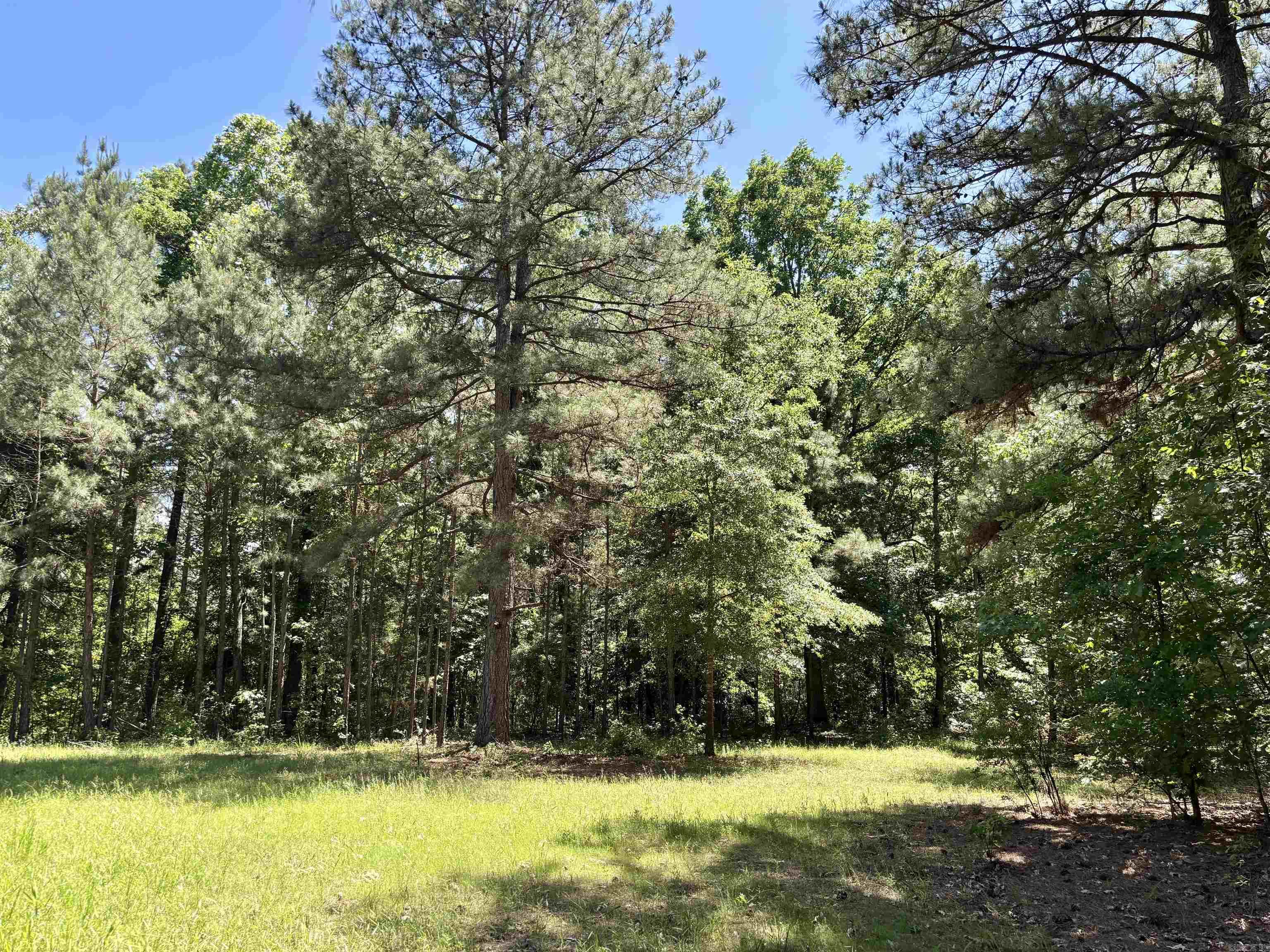 177  TIMBERLANE  Dierks, AR
