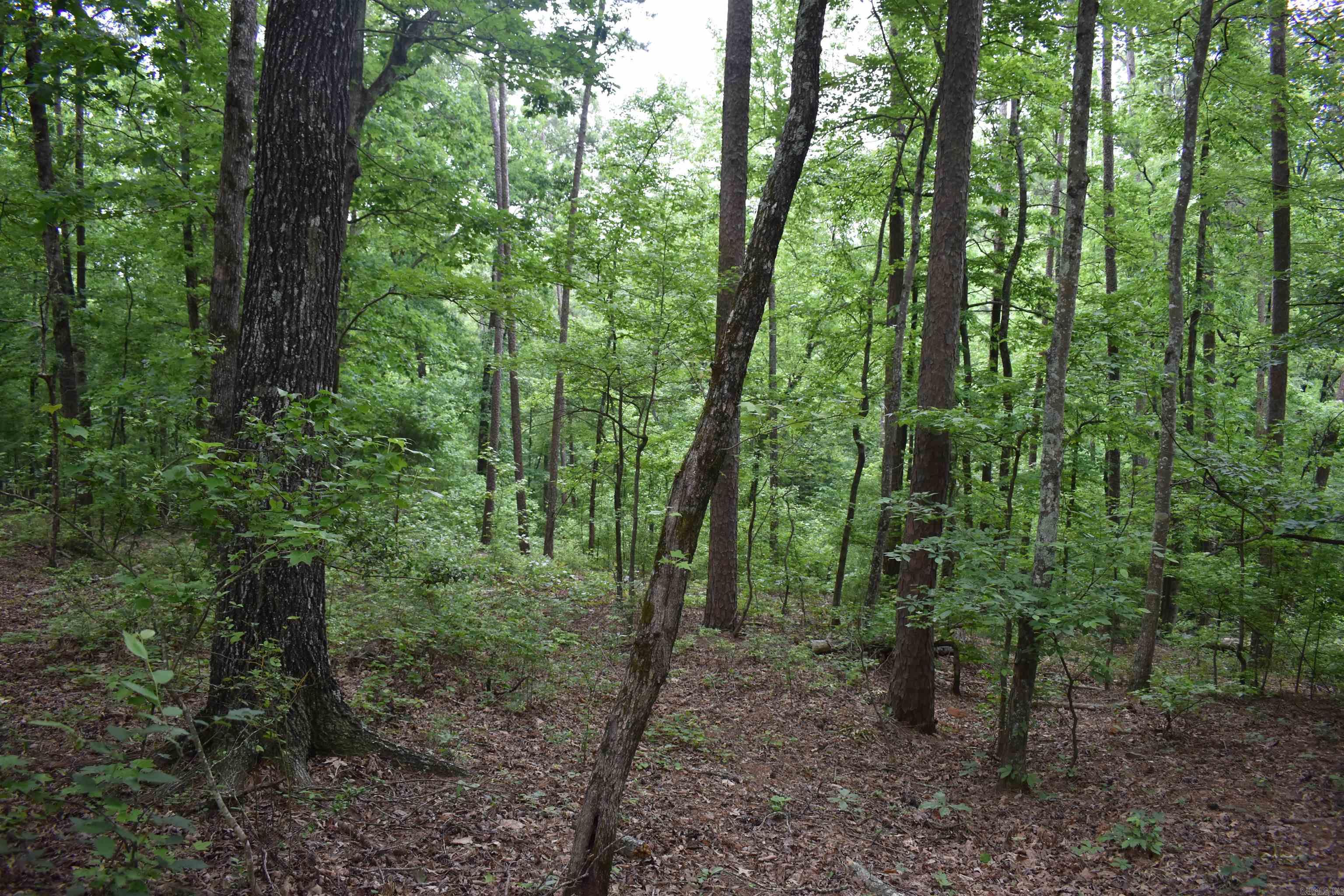 32  Angels Way  Caddo Gap, AR