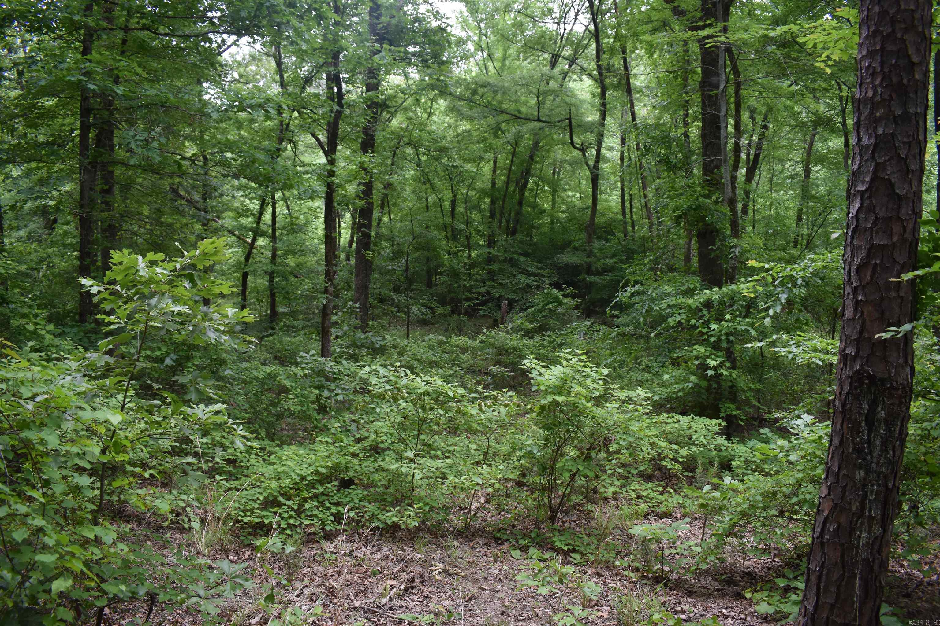 32  Angels Way  Caddo Gap, AR