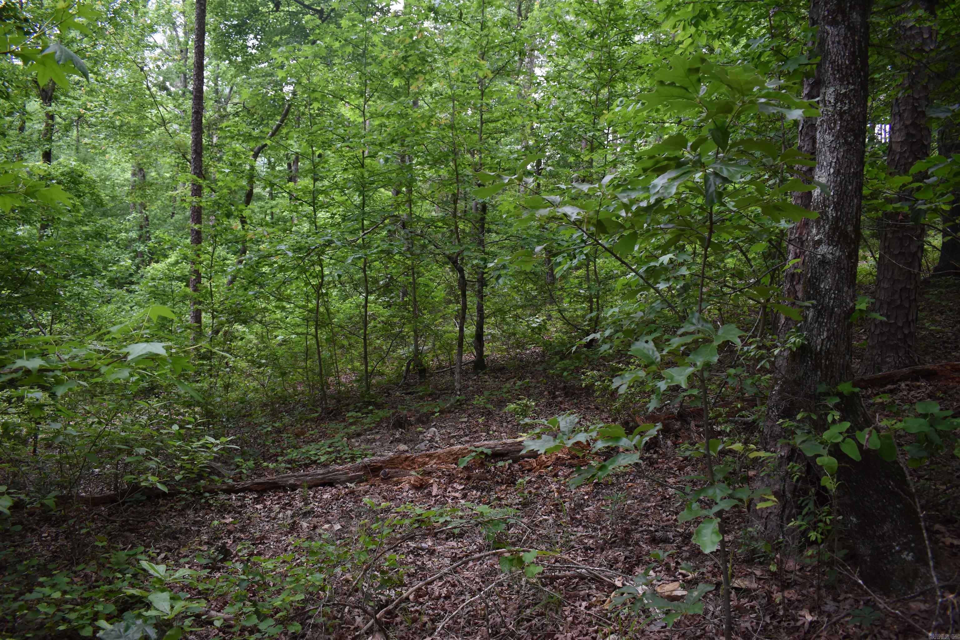 32  Angels Way  Caddo Gap, AR