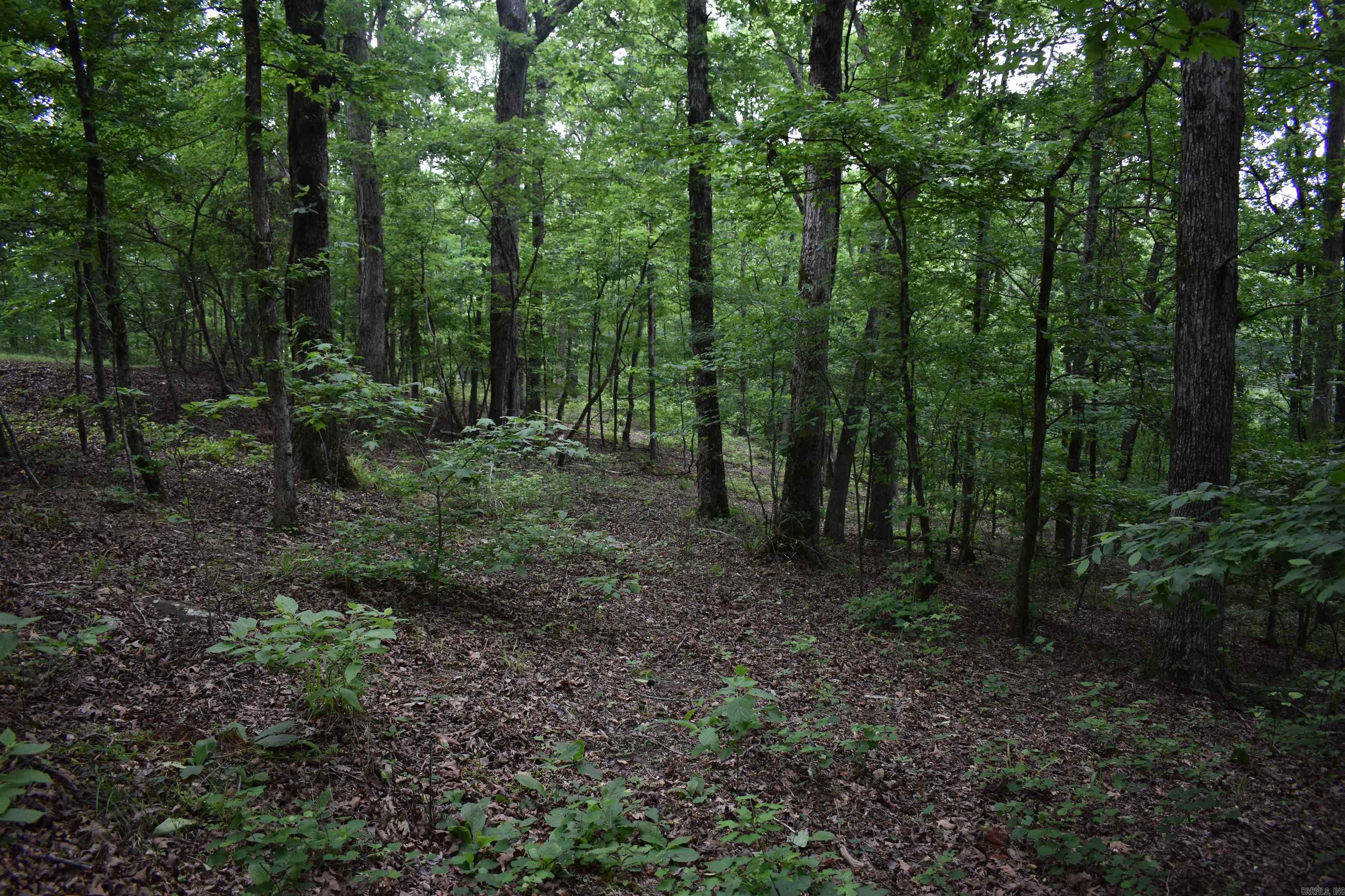 32  Angels Way  Caddo Gap, AR