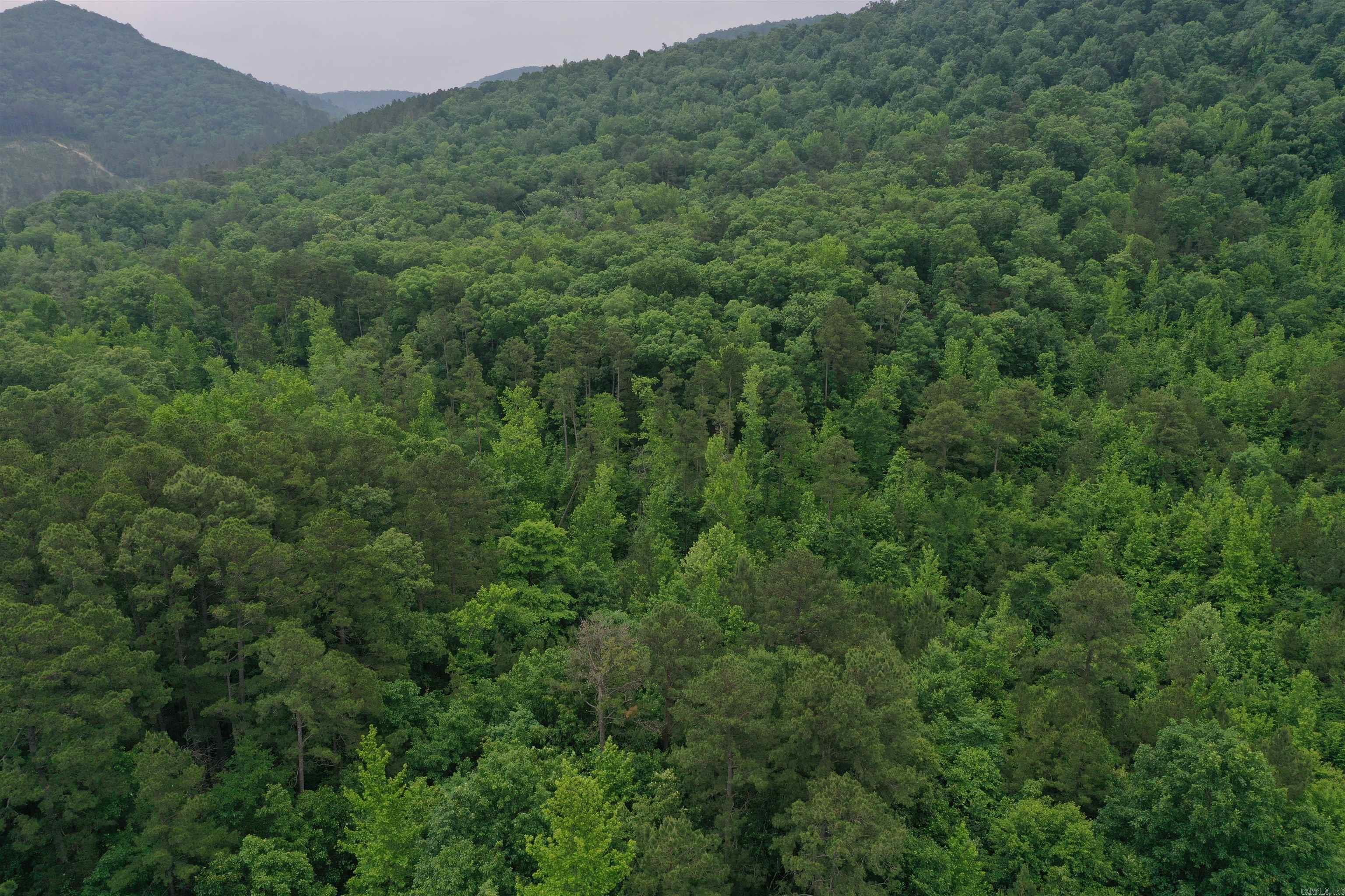 32  Angels Way  Caddo Gap, AR