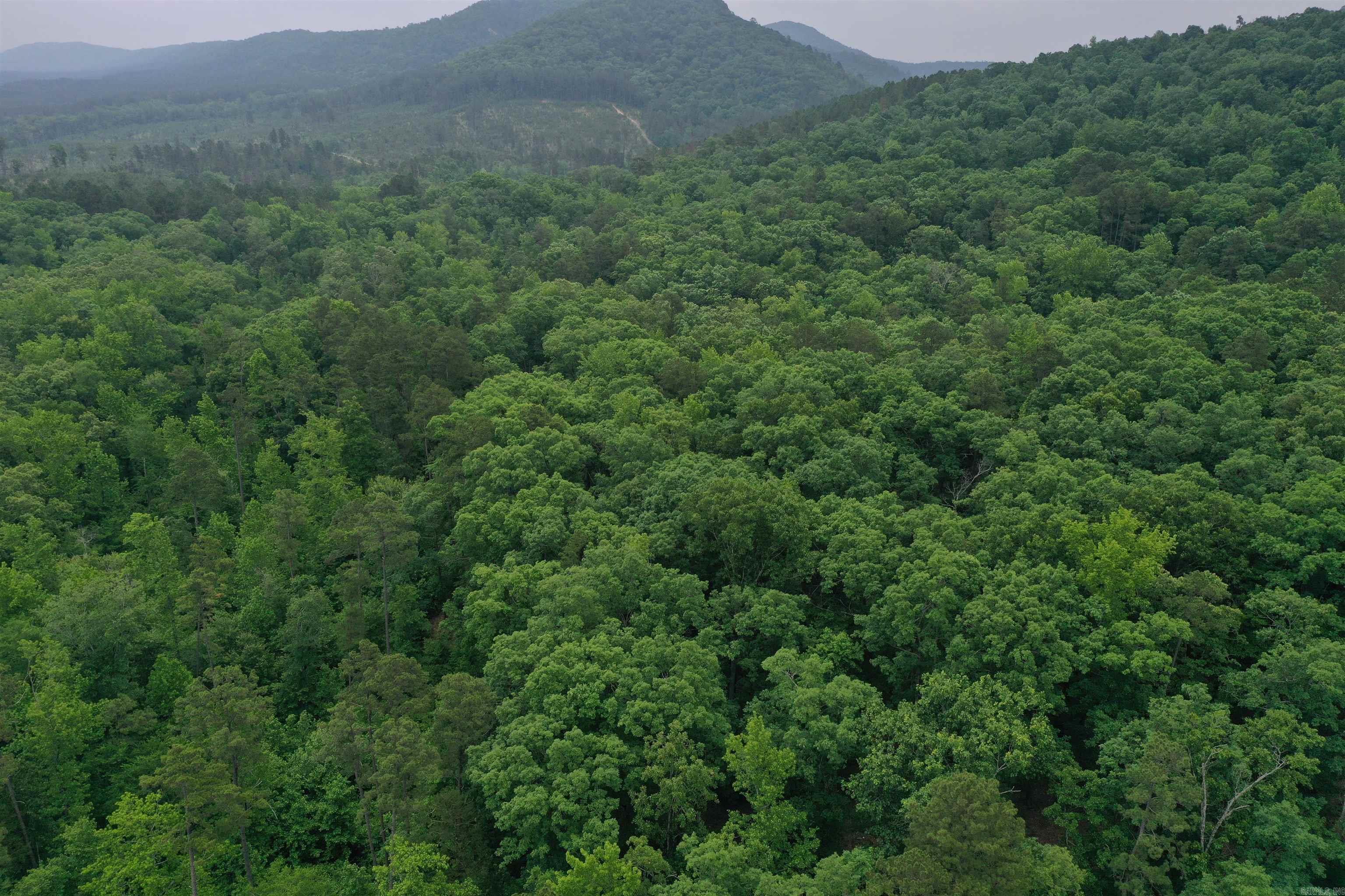 32  Angels Way  Caddo Gap, AR