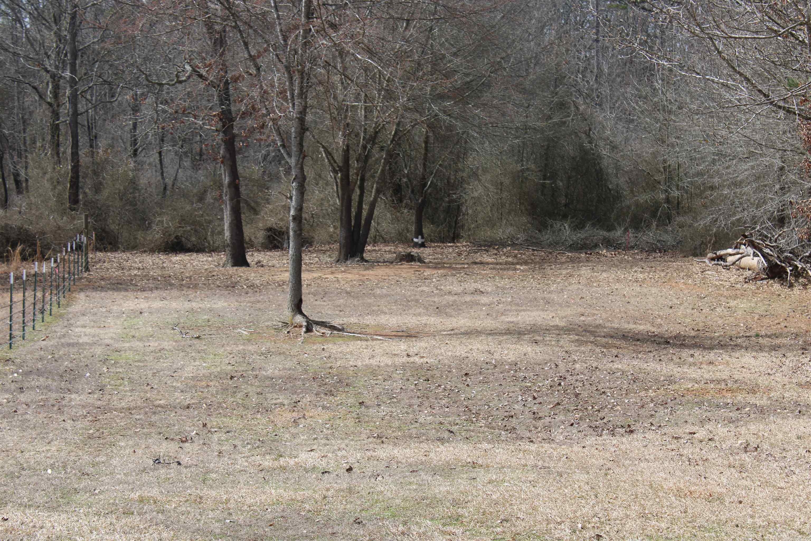 129  Conrad Dr  Higden, AR