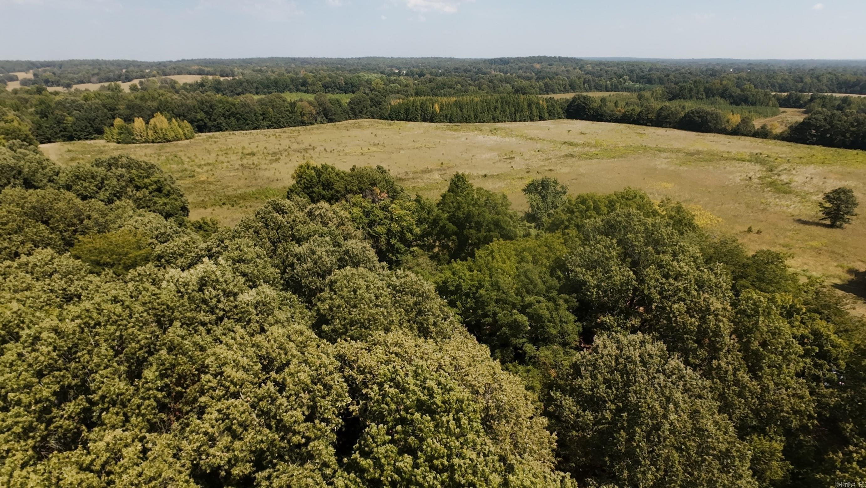 1178 Greene 409 Road Marmaduke, AR 72443