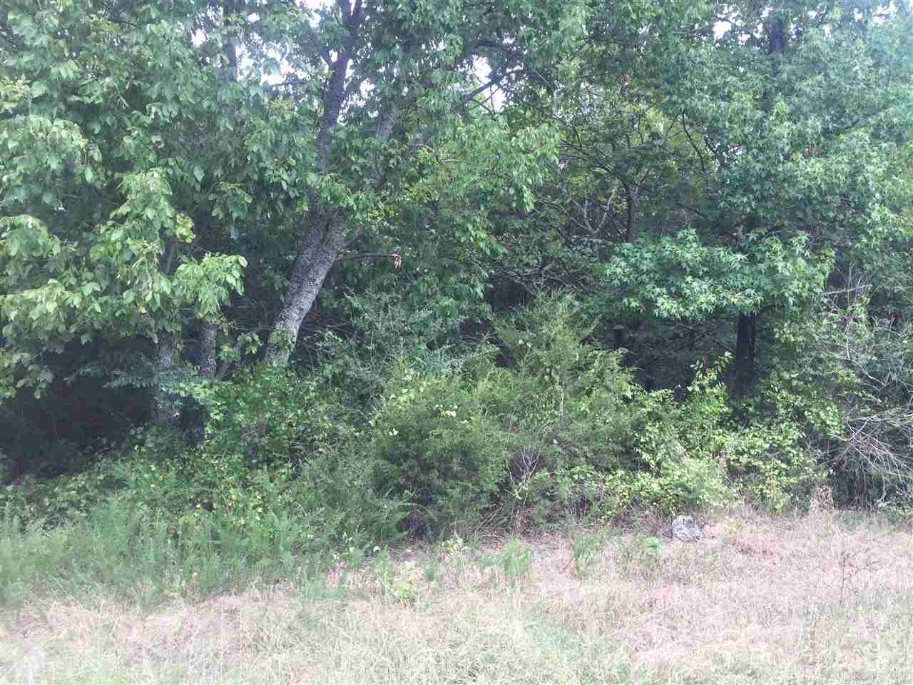 134  jerry lane lot 3  Judsonia, AR