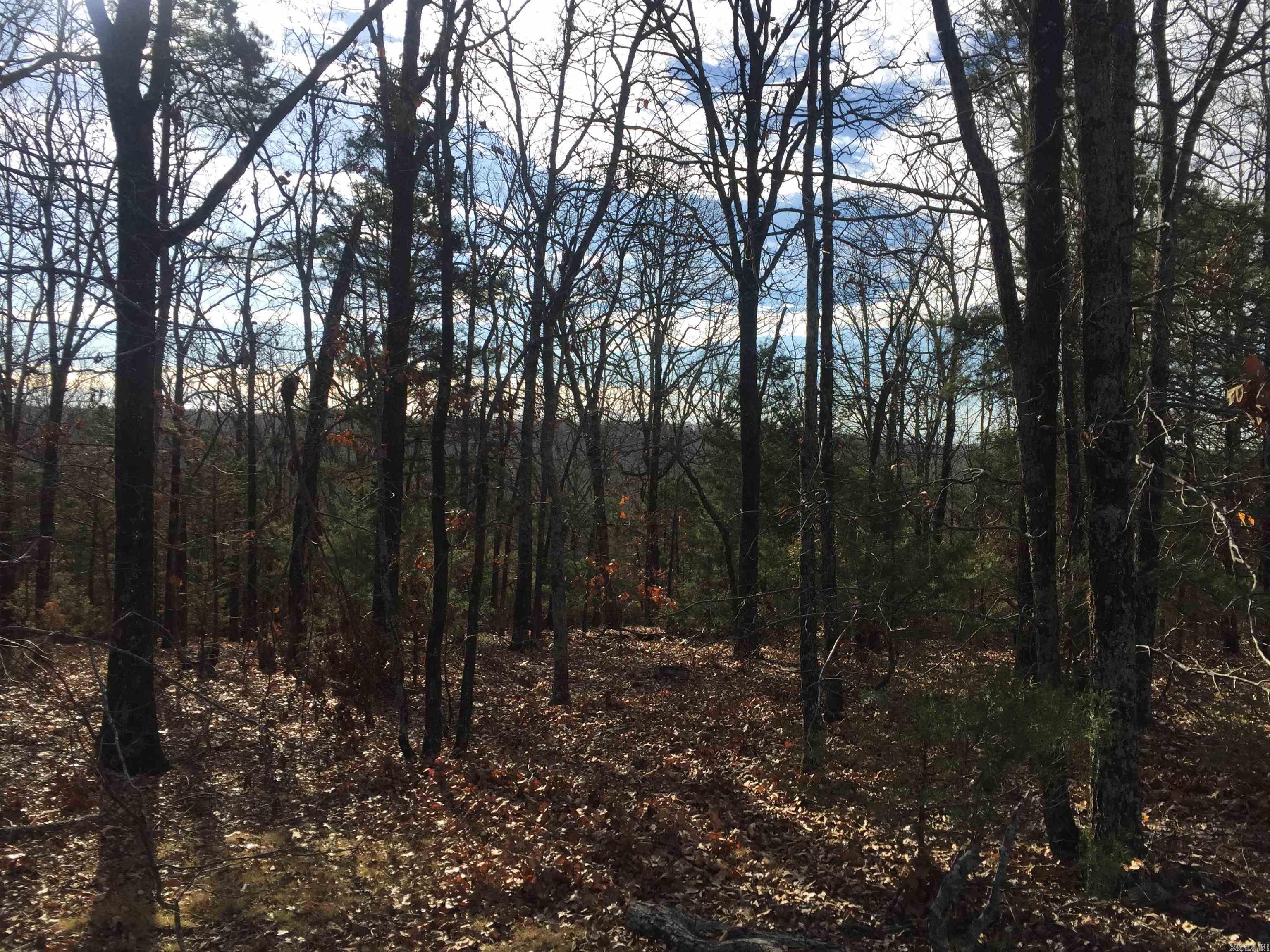 801  hwy 5  Rose Bud, AR
