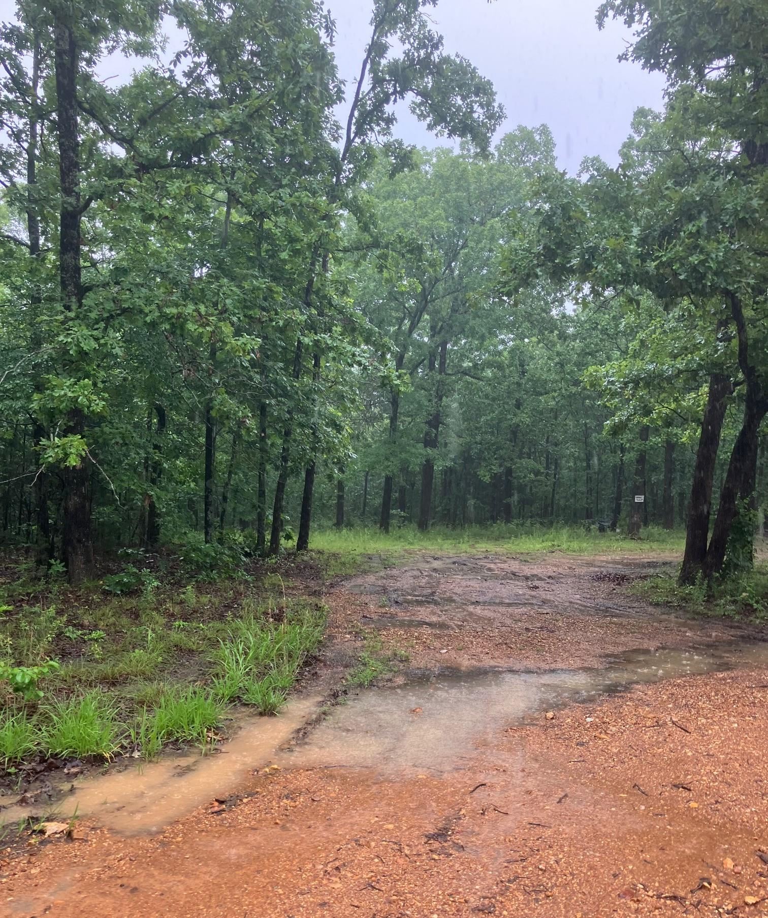   Newman Trail  Williford, AR