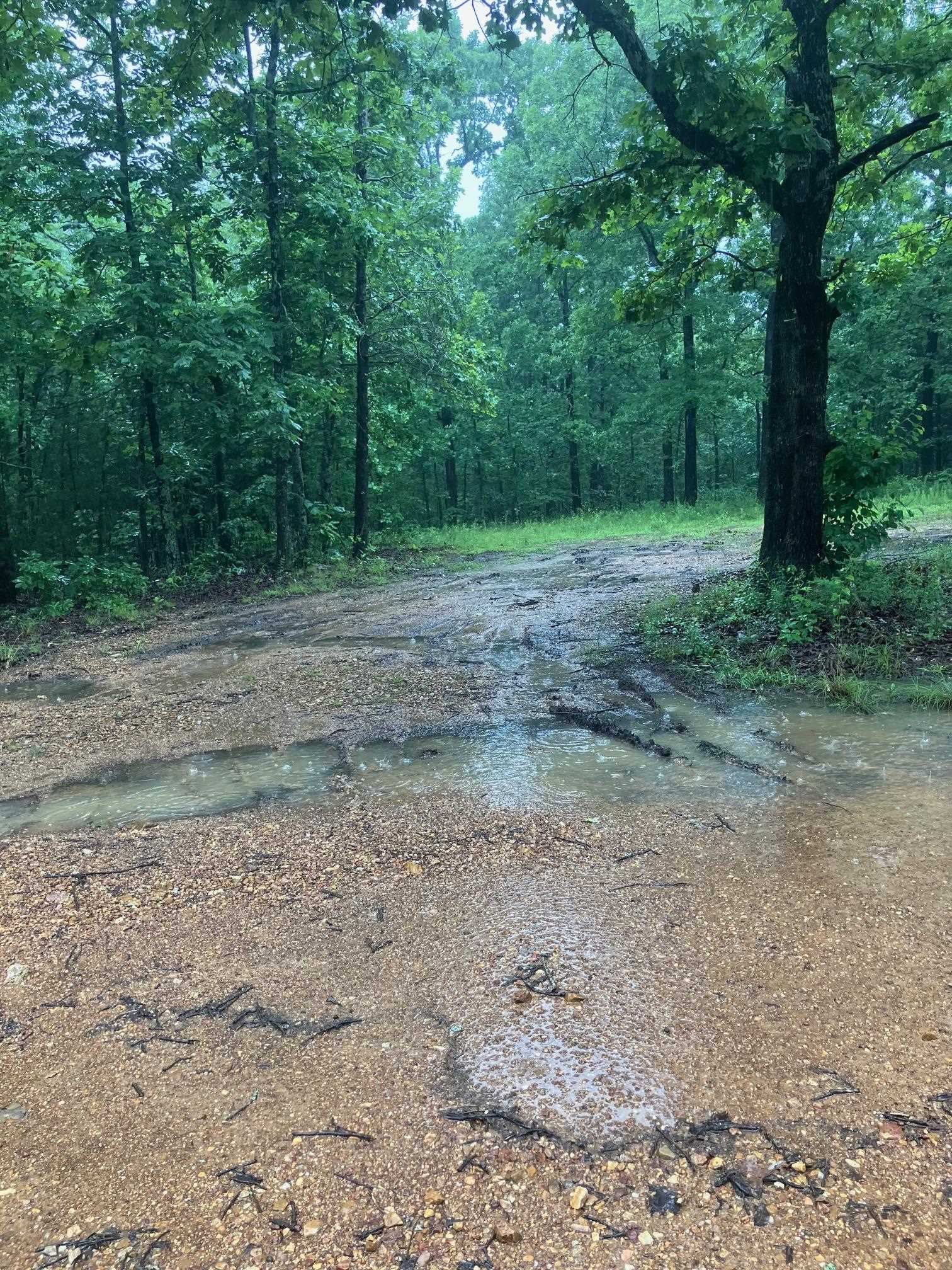   Newman Trail  Williford, AR