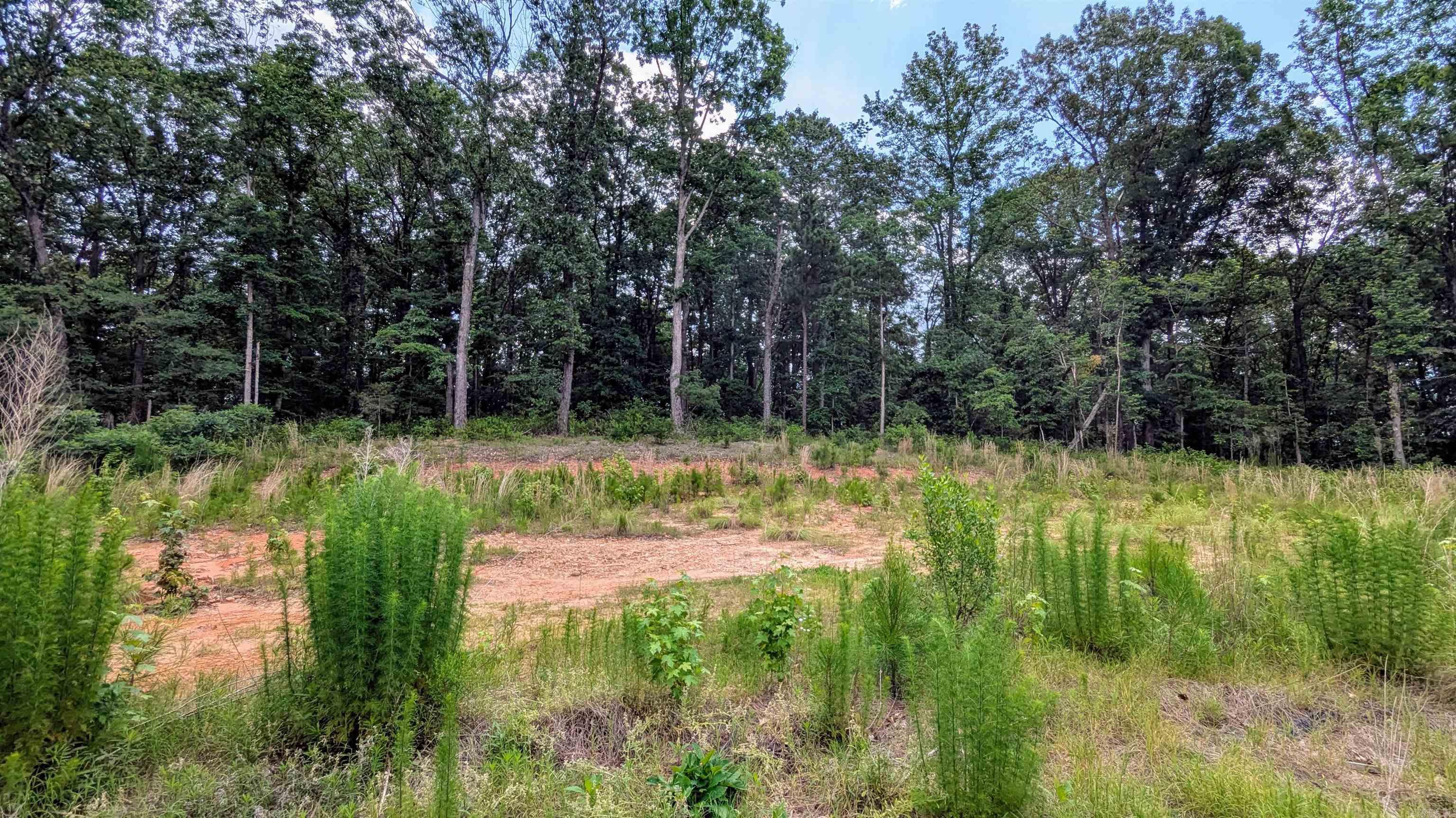 2500  Prysock  Benton, AR
