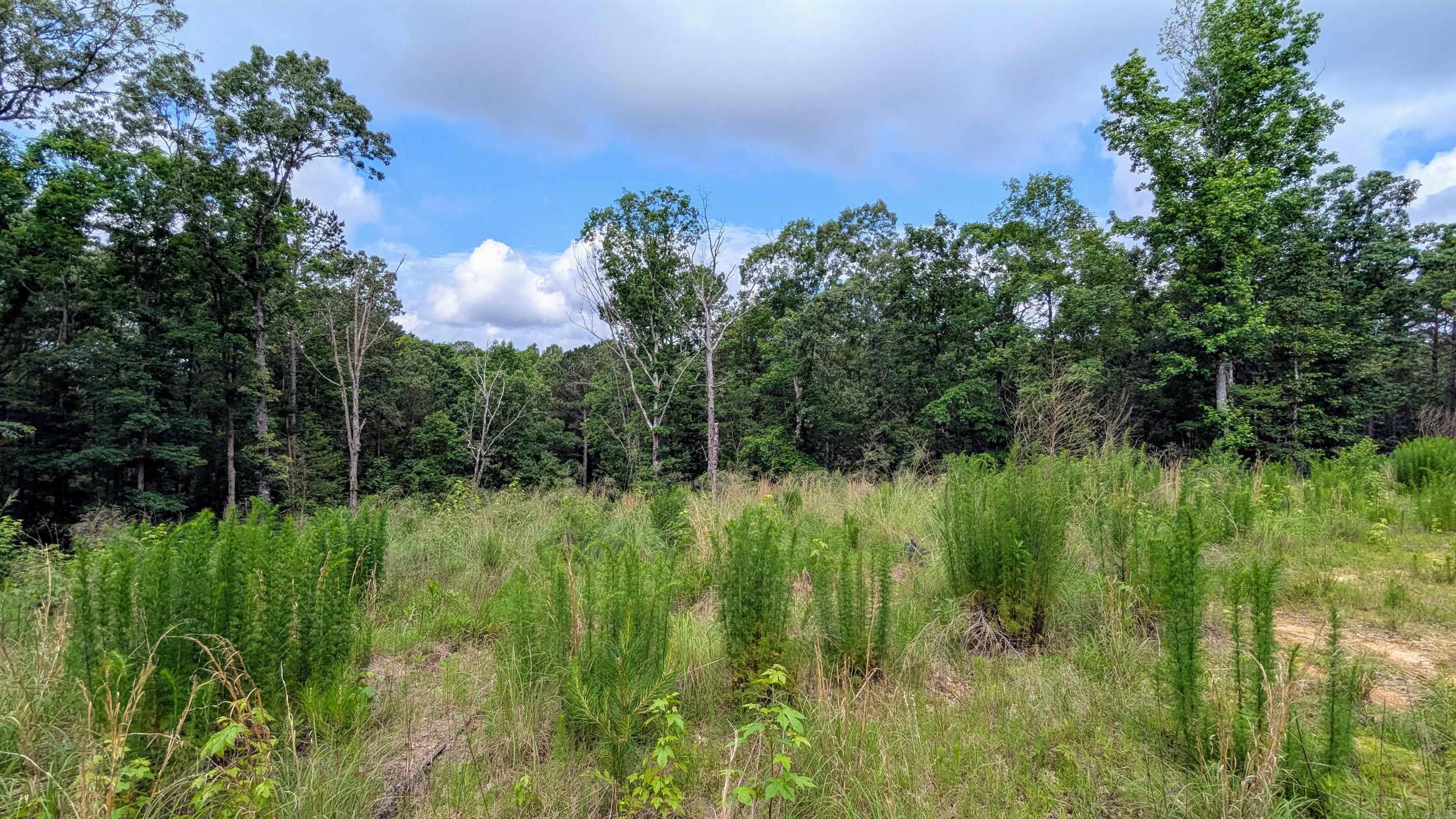2500  Prysock  Benton, AR