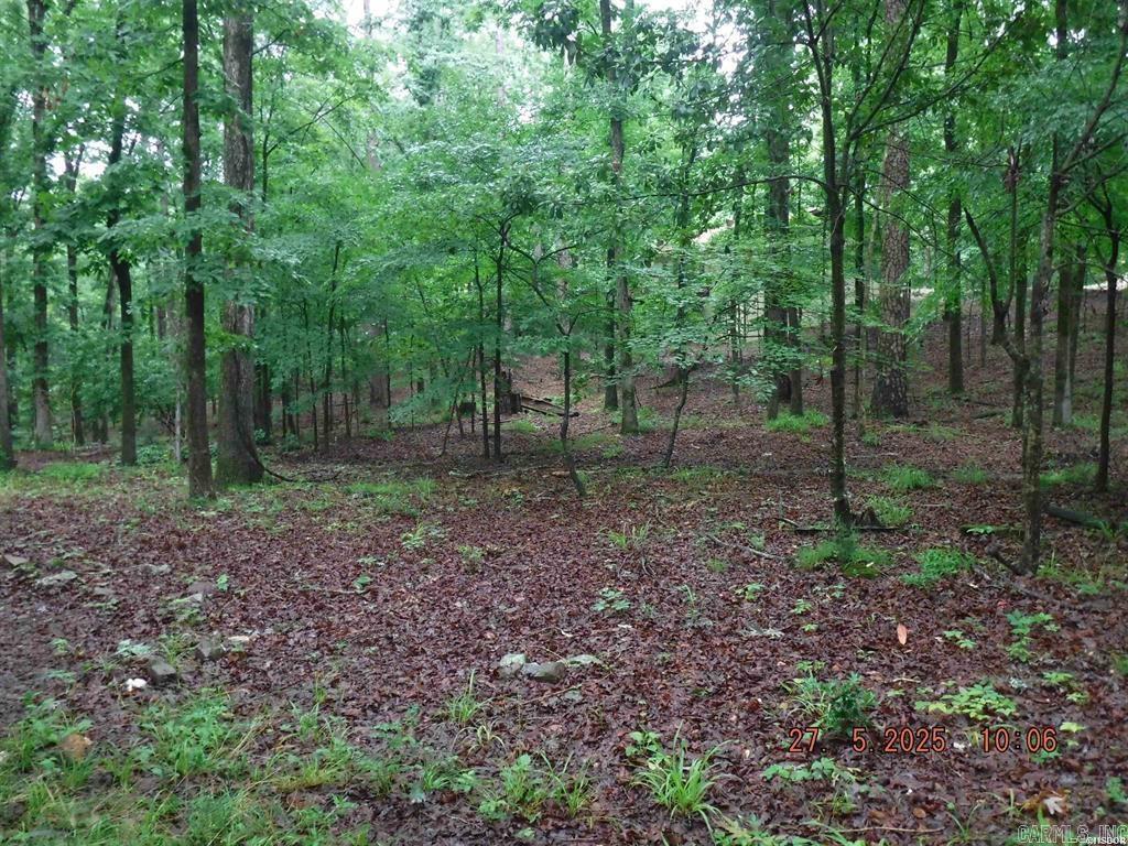47  Segovia  Hot Springs Village, AR