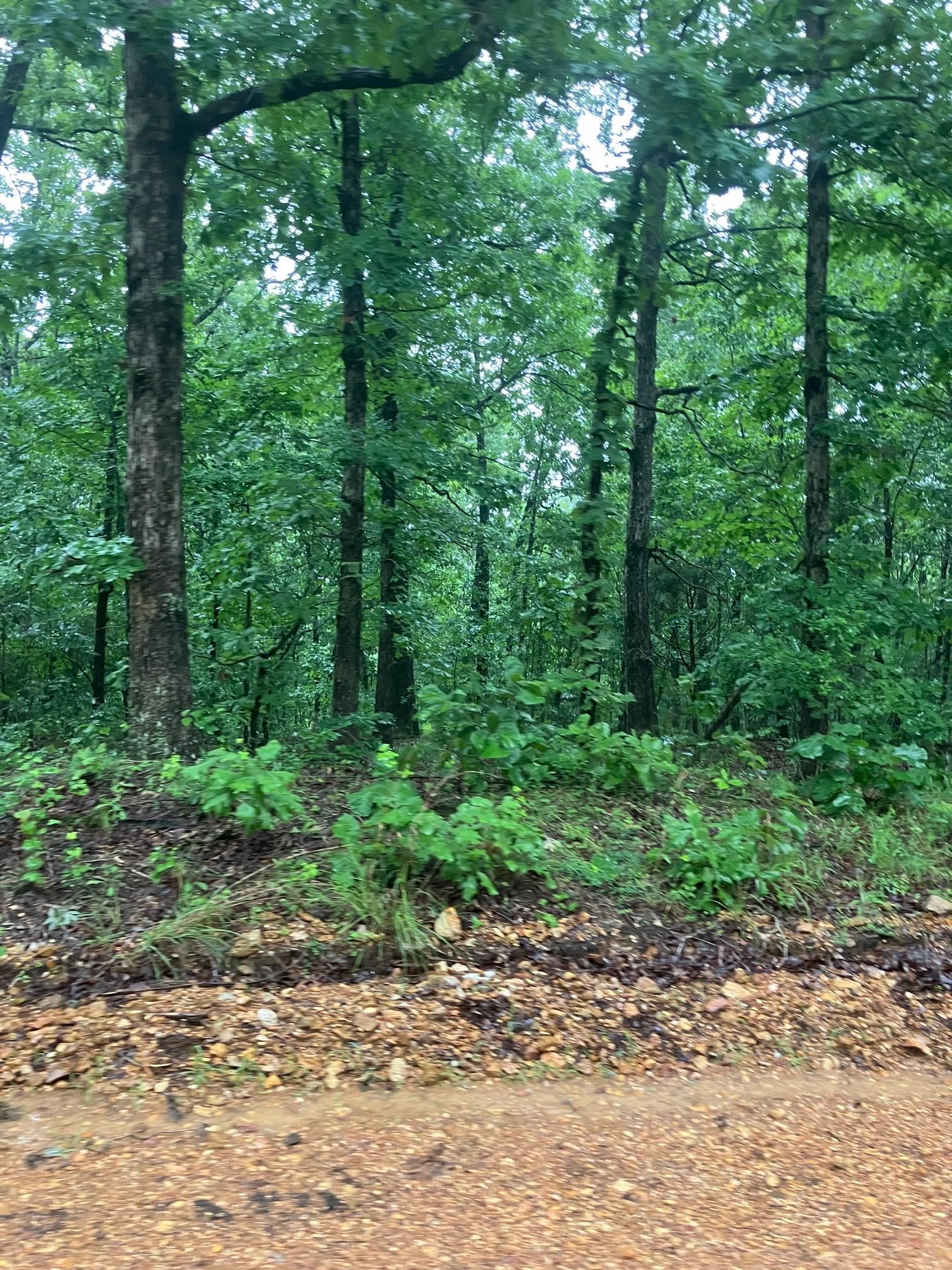 000  Newman Trail  Williford, AR