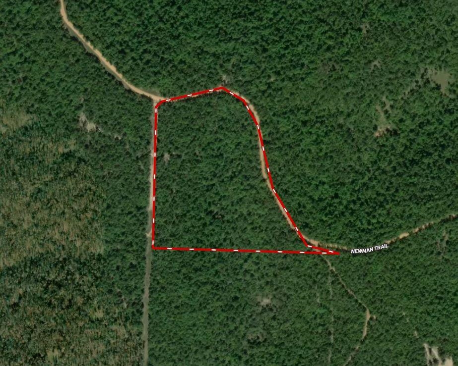 000  Newman Trail  Williford, AR