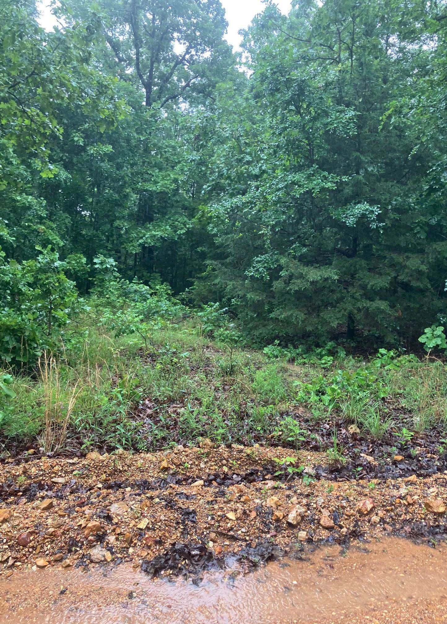 000  Newman Trail  Williford, AR