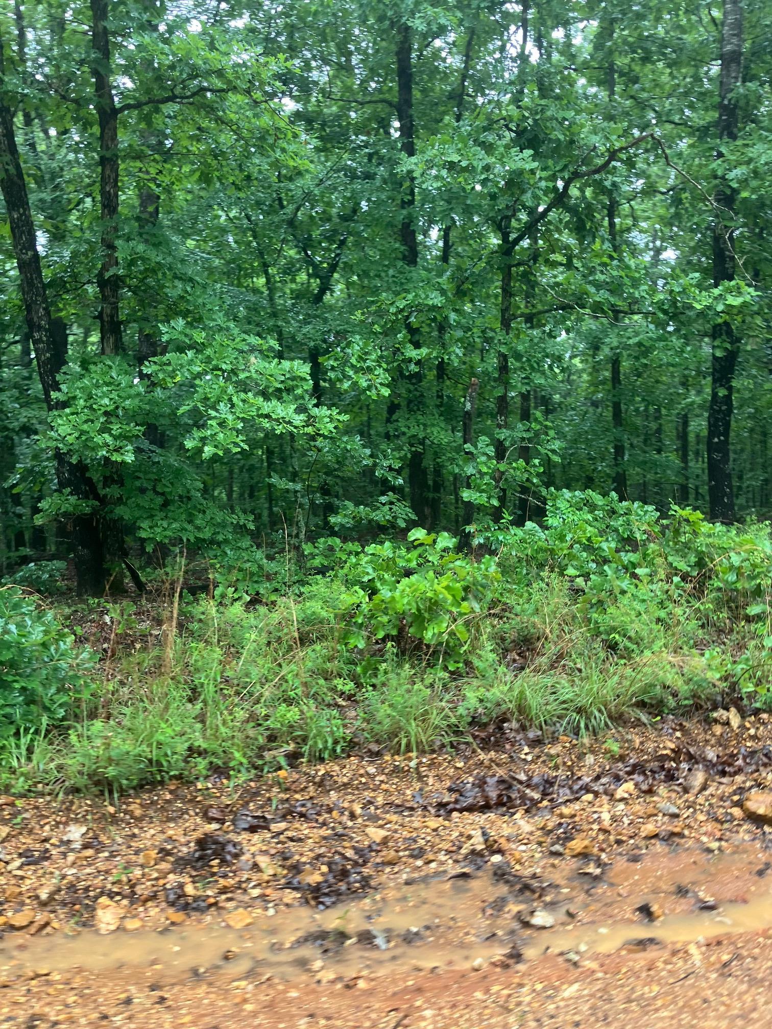 000  Newman Trail  Williford, AR