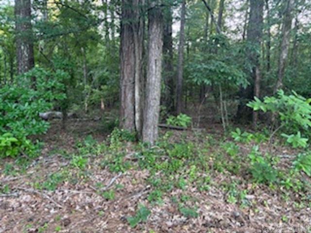 Lot 12  Peppertree  Camden, AR