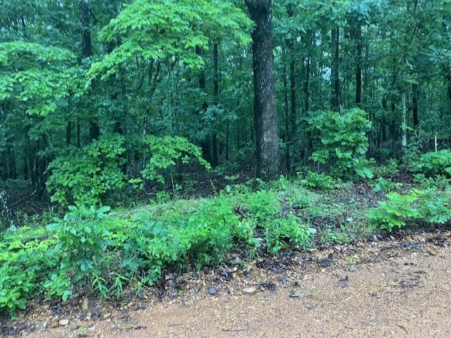 TBD  Newman Trail  Williford, AR