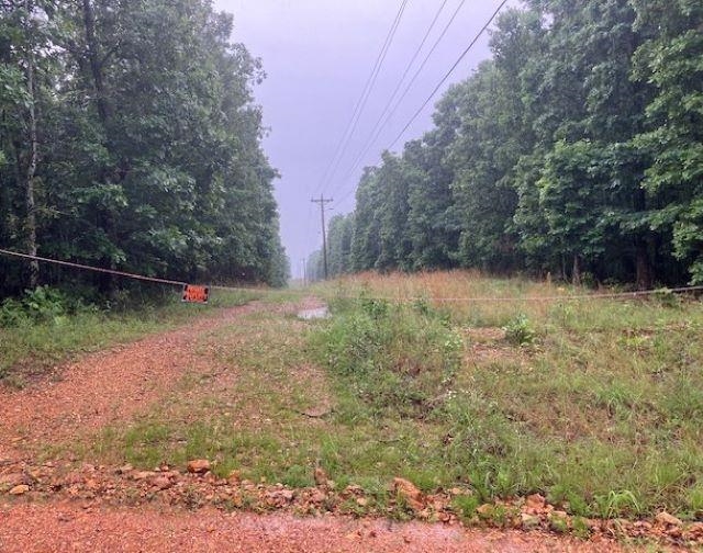 TBD  Newman Trail  Williford, AR