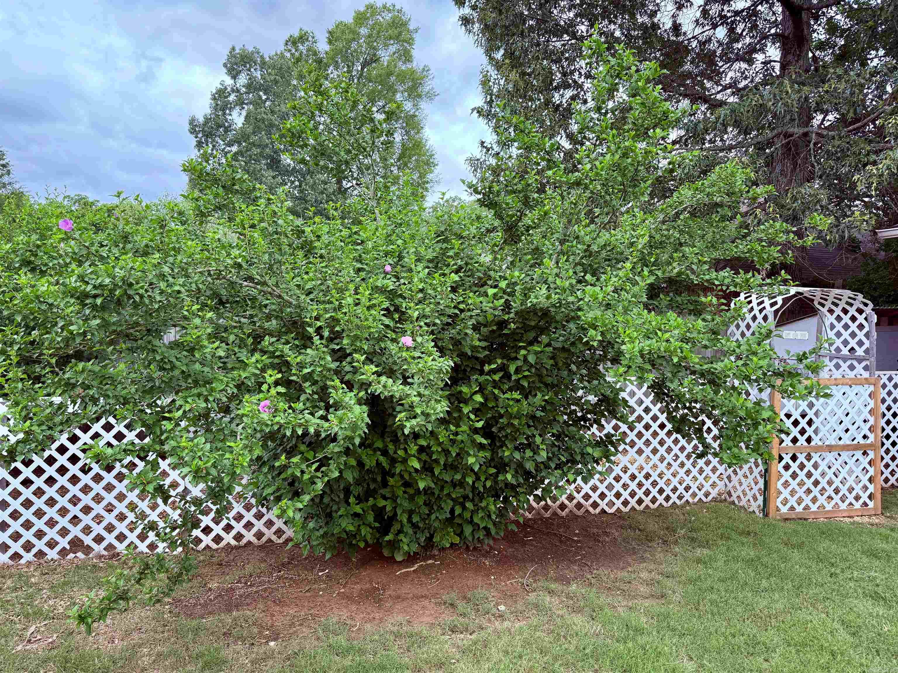7  Butterfly Drive  Sherwood, AR