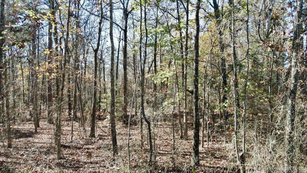 0  Atoka  Bee Branch, AR