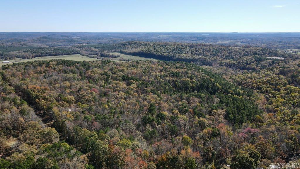 0  Atoka  Bee Branch, AR
