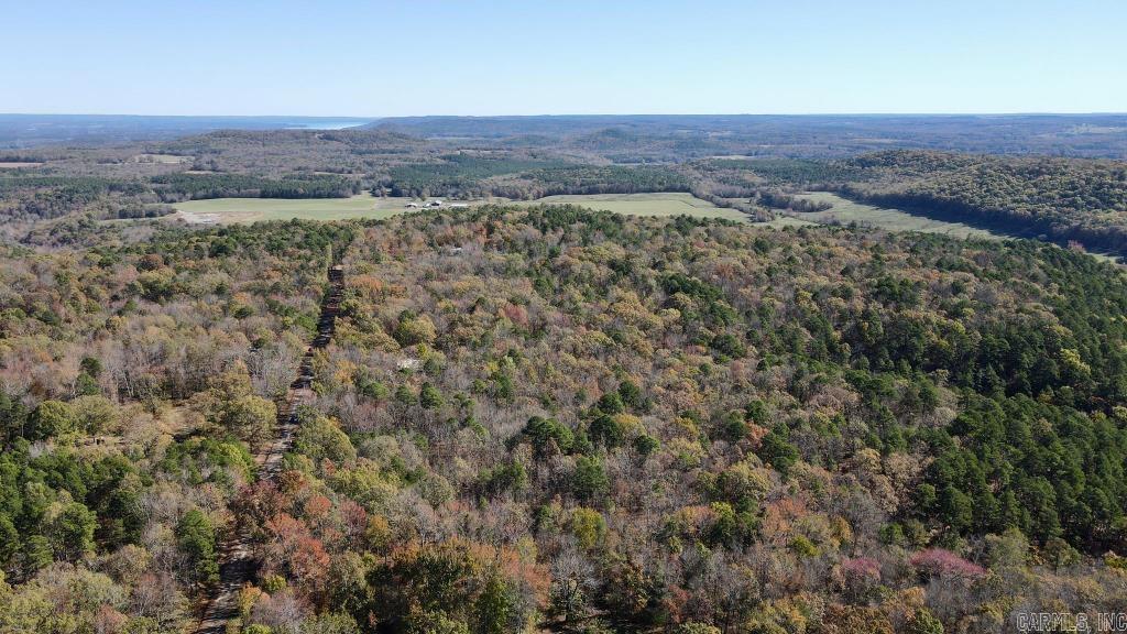 0  Atoka  Bee Branch, AR