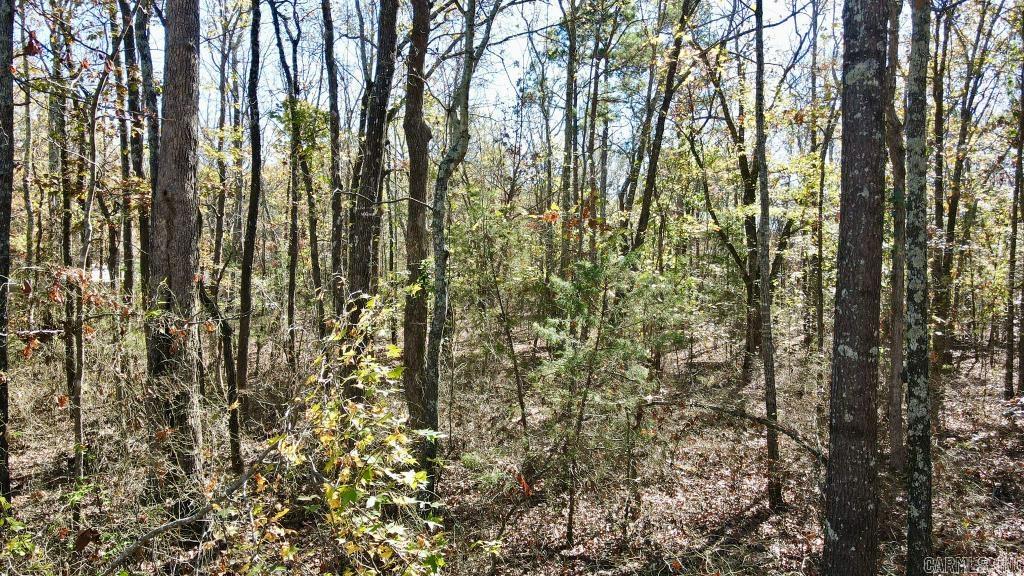 0  Atoka  Bee Branch, AR