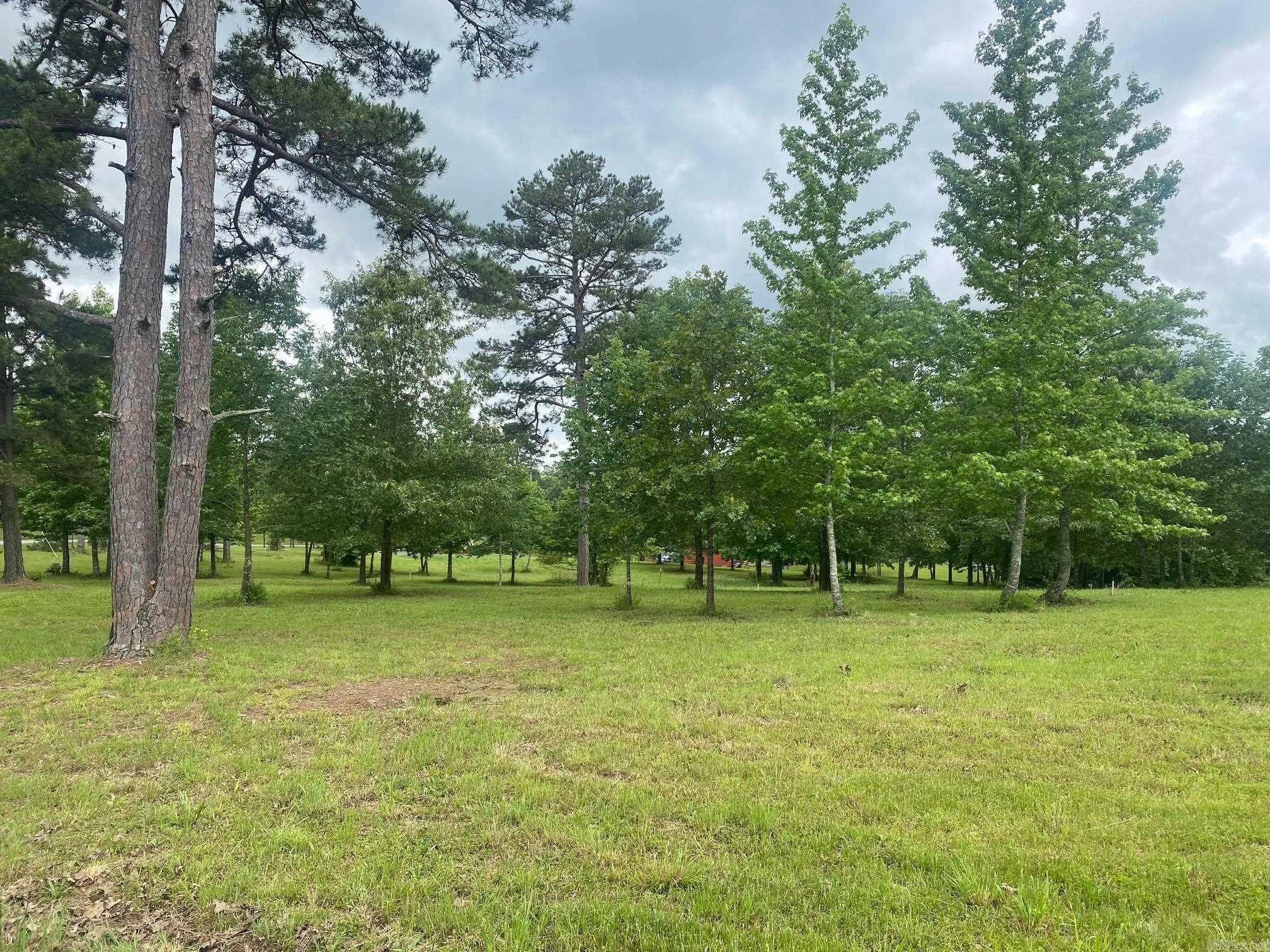 00  Ridge CR  Quitman, AR
