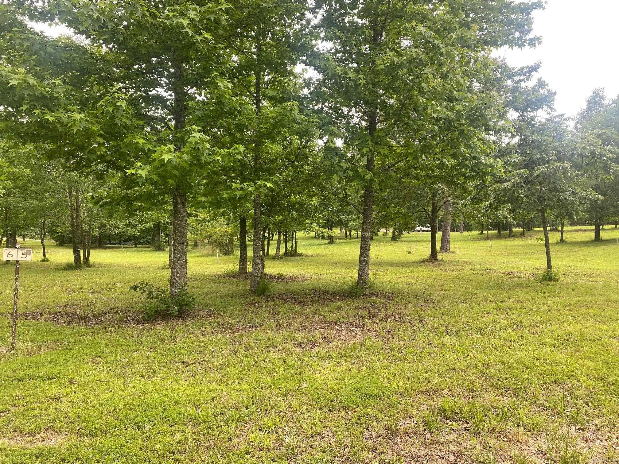 00  Ridge CR  Quitman, AR