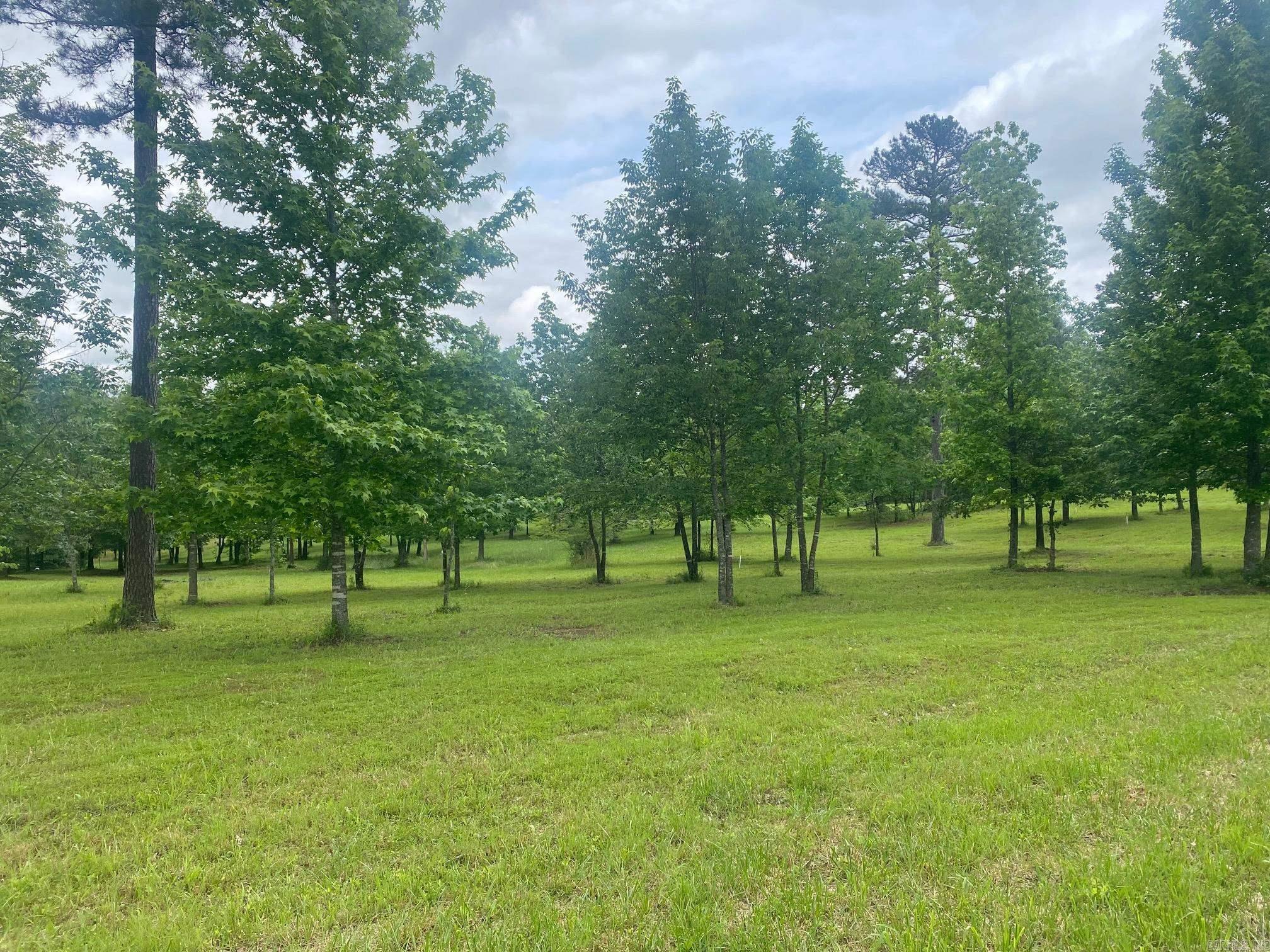 00  Ridge CR  Quitman, AR