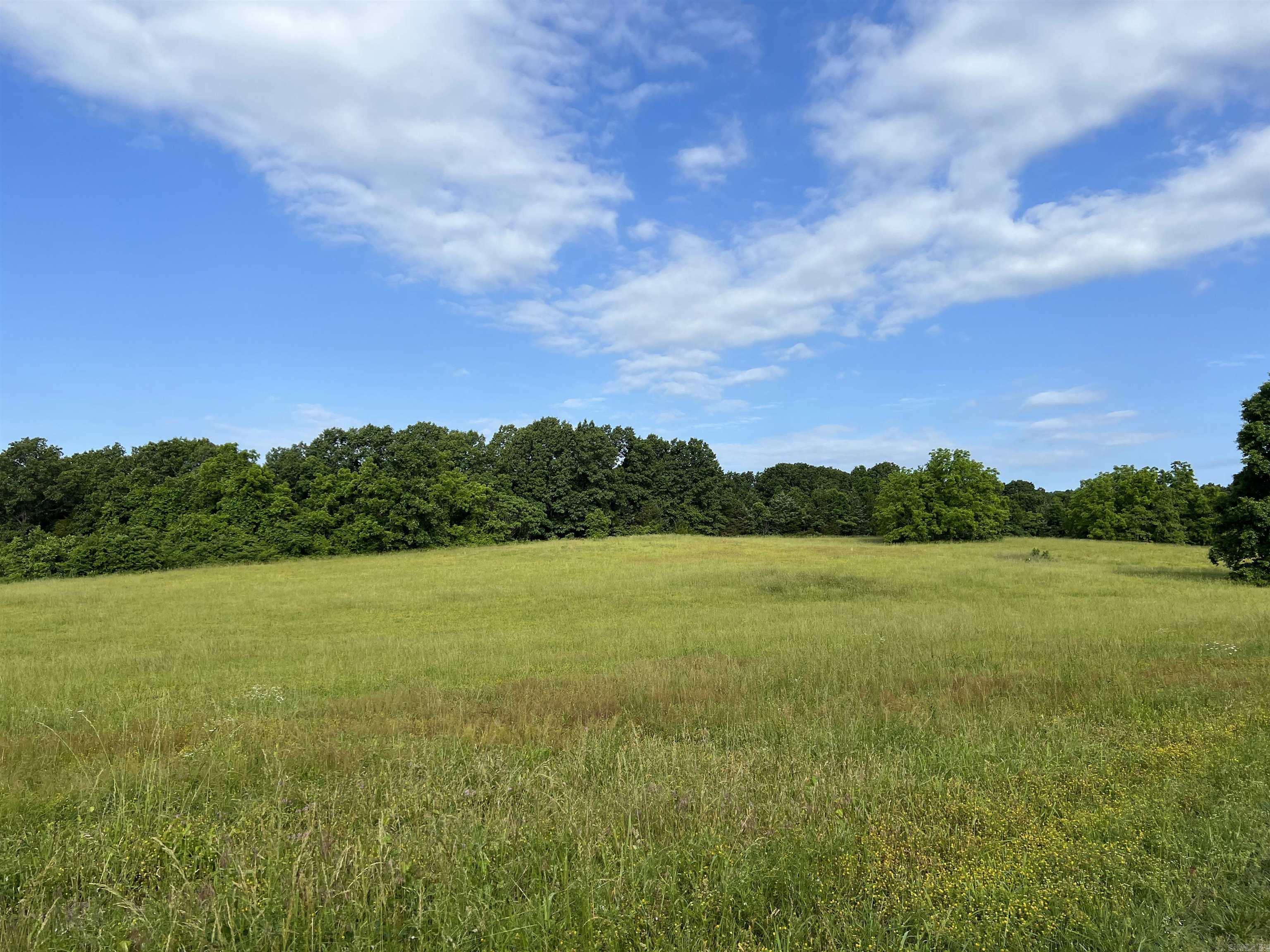 1426  CR 921  Alpena, AR