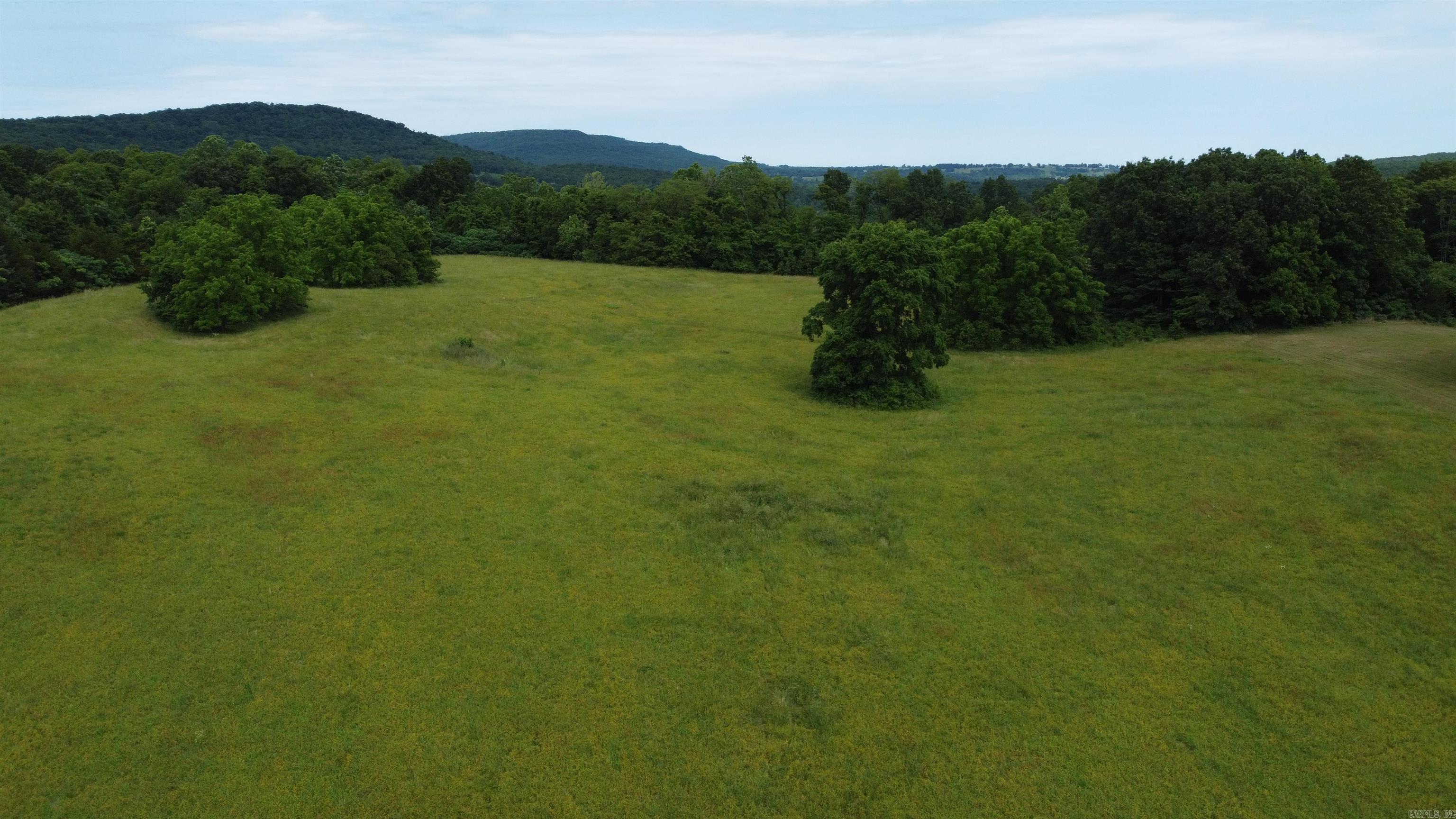 1426  CR 921  Alpena, AR