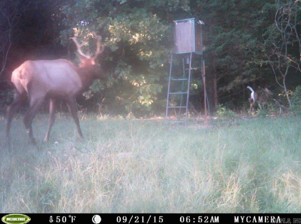 1426  CR 921  Alpena, AR