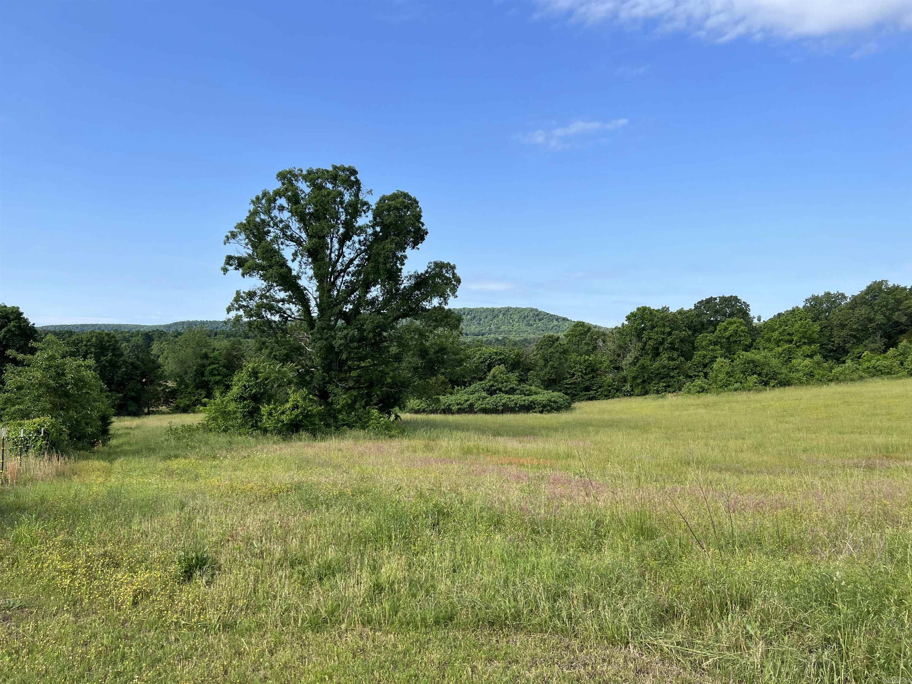 1426  CR 921  Alpena, AR
