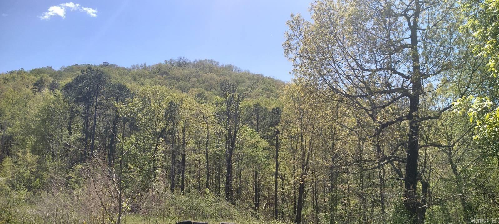 255  Marla Marie  Hot Springs National Park, AR