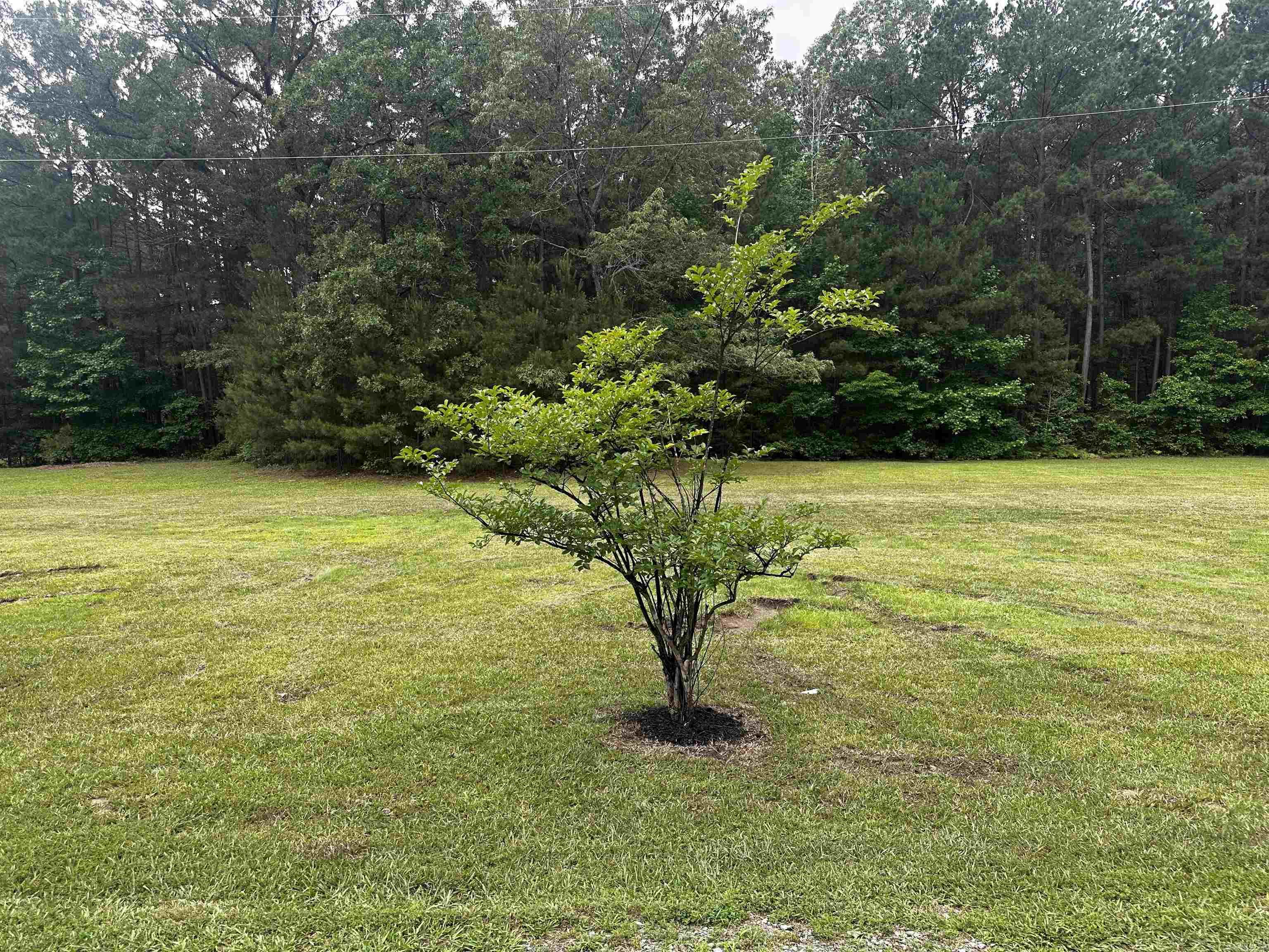 208  Randolph Ct  Hensley, AR
