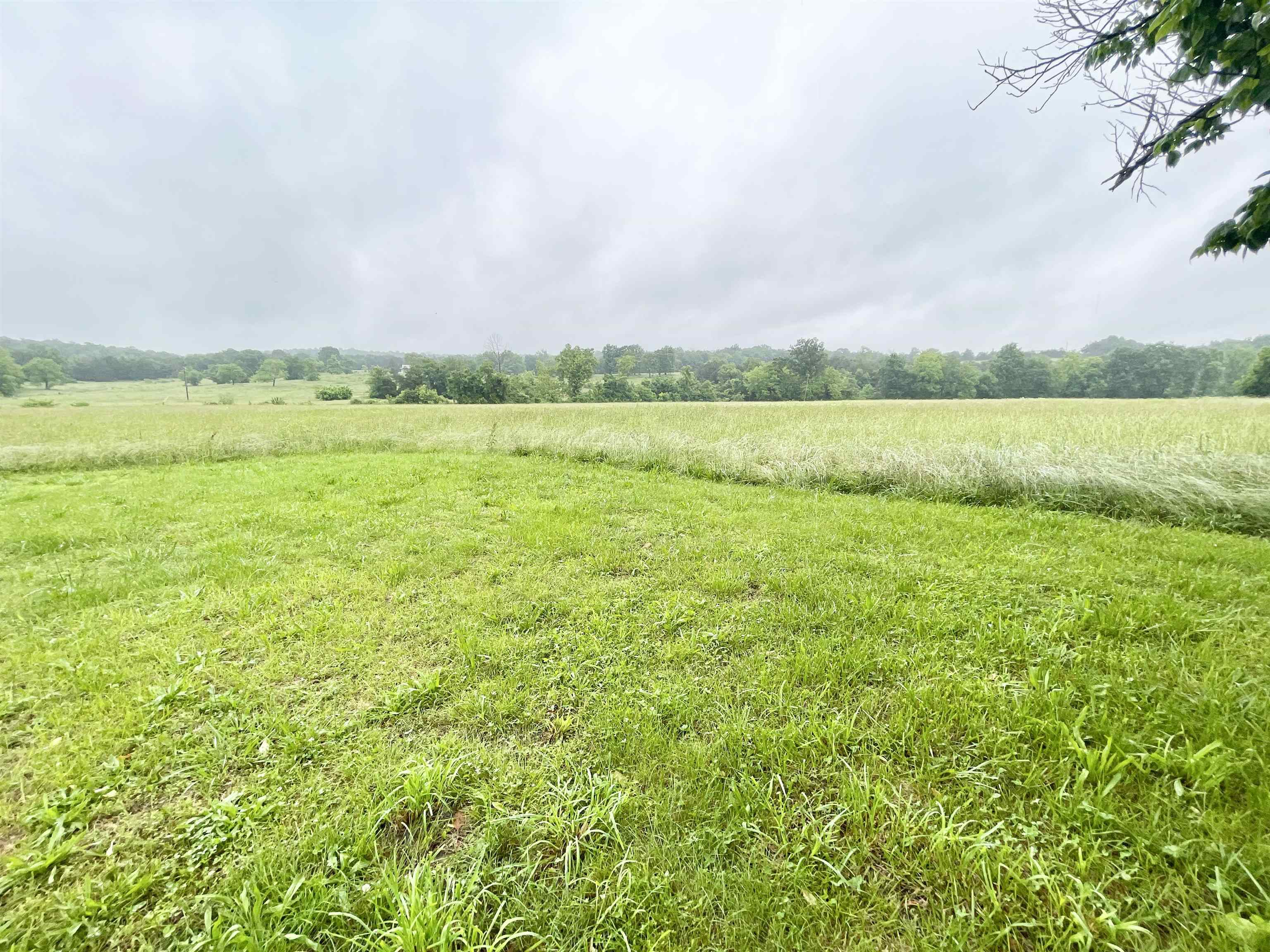 11  Fruitwood  Glencoe, AR