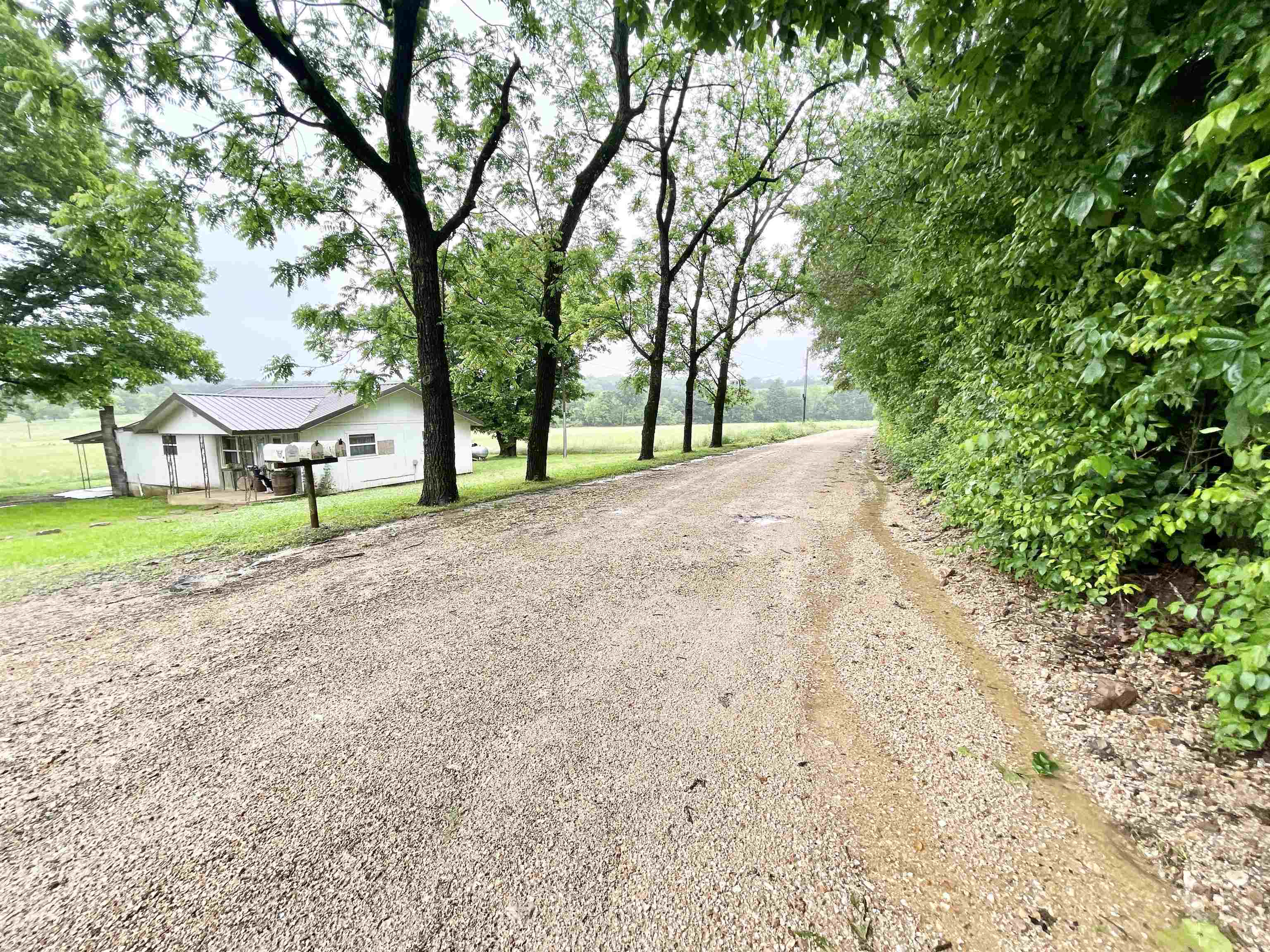 11  Fruitwood  Glencoe, AR