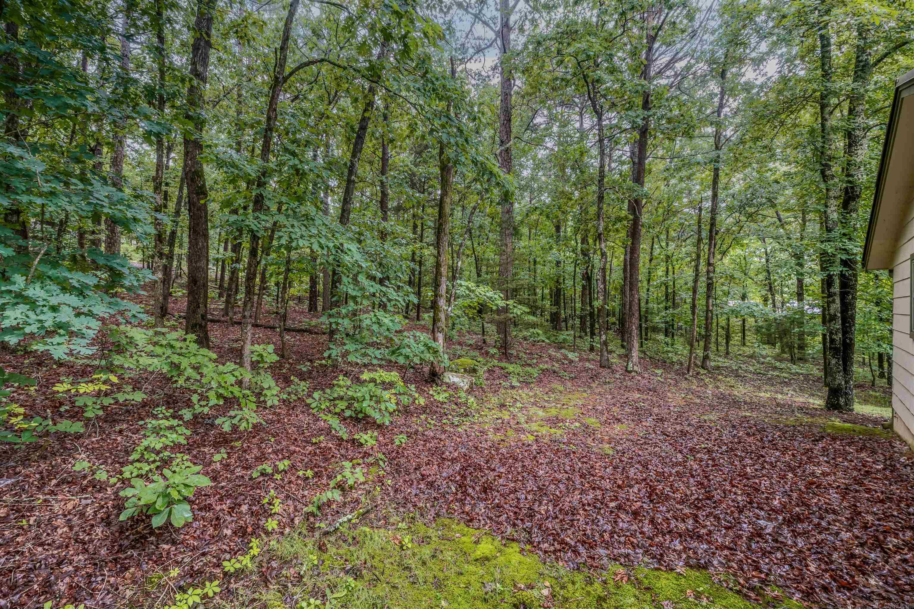 101  Oakwood Ct  Fairfield Bay, AR