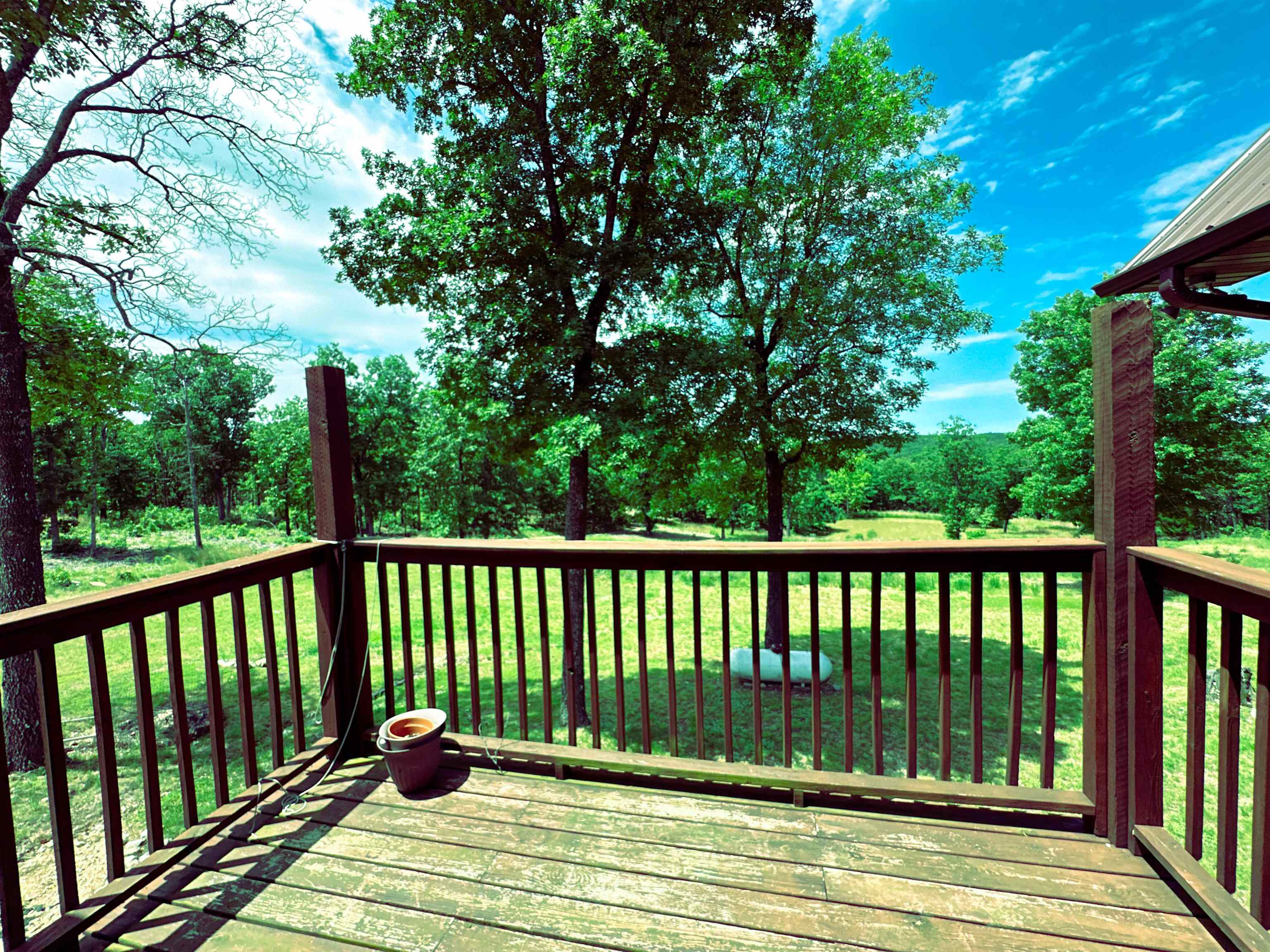 231  Burkwood Trail  Salem, AR