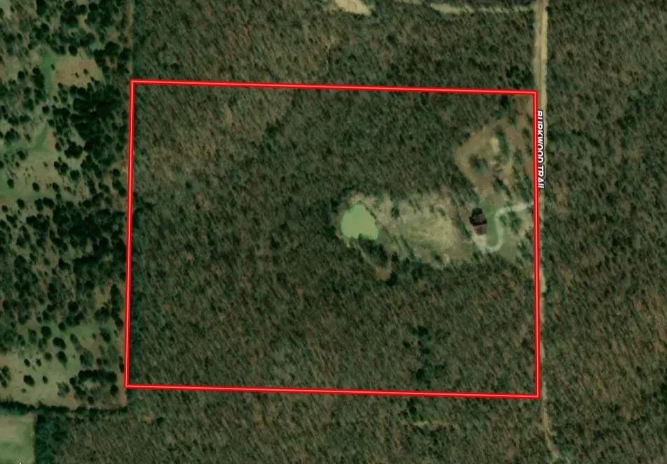 231  Burkwood Trail  Salem, AR